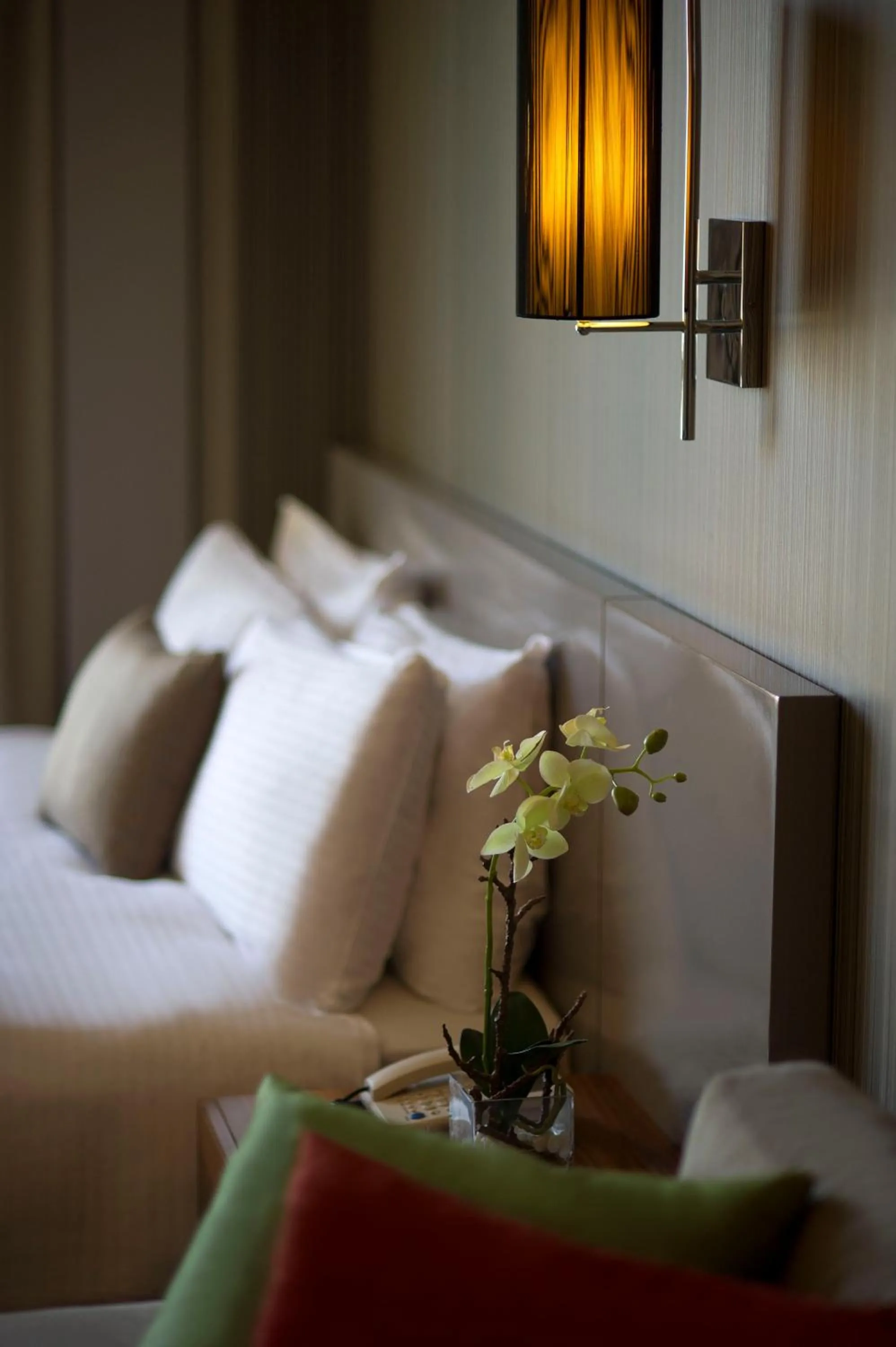 Deluxe Suite in ParkTower Suites