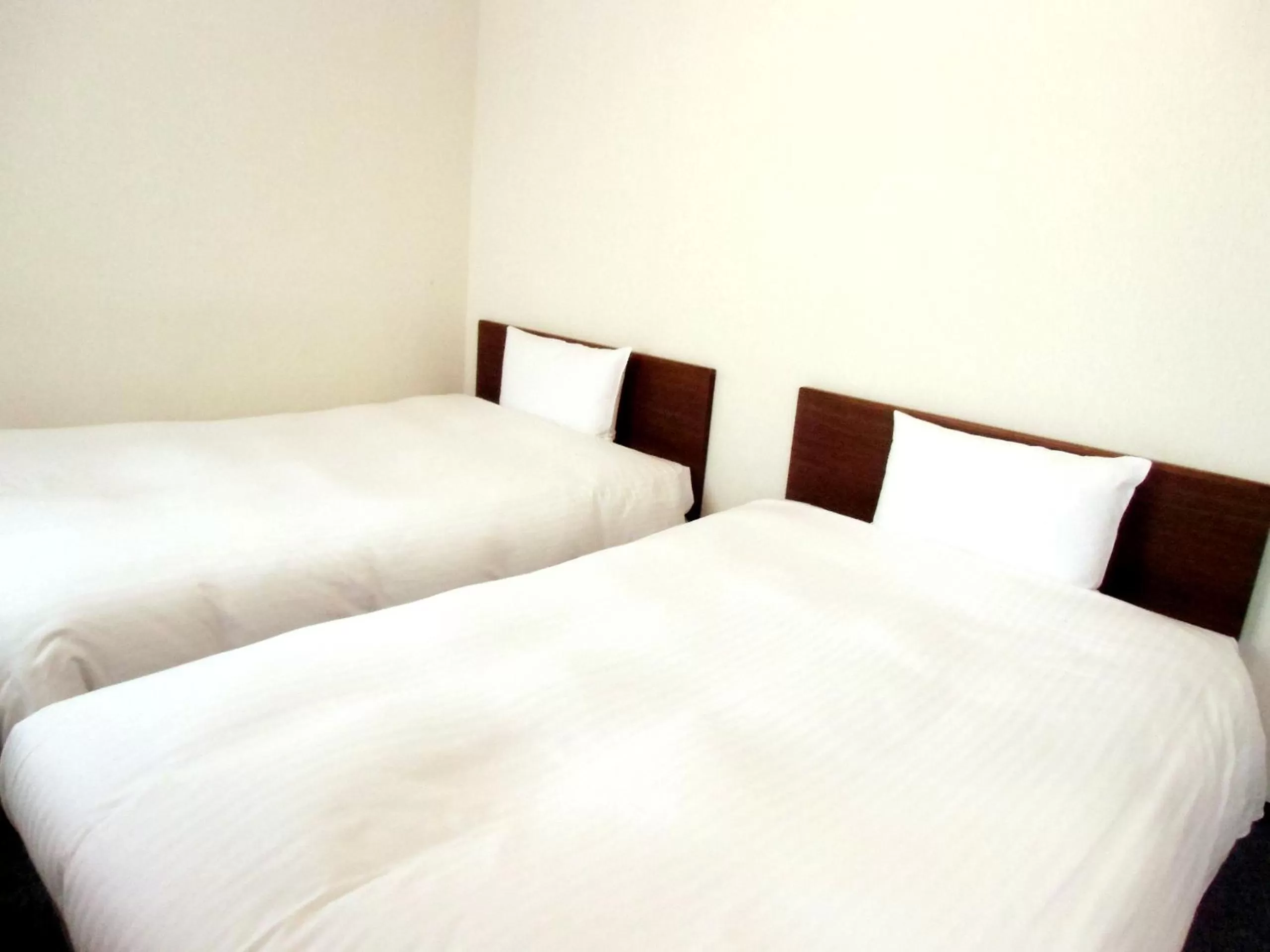 Standard Twin Room with Sofa - single occupancy in Hotel Green Line