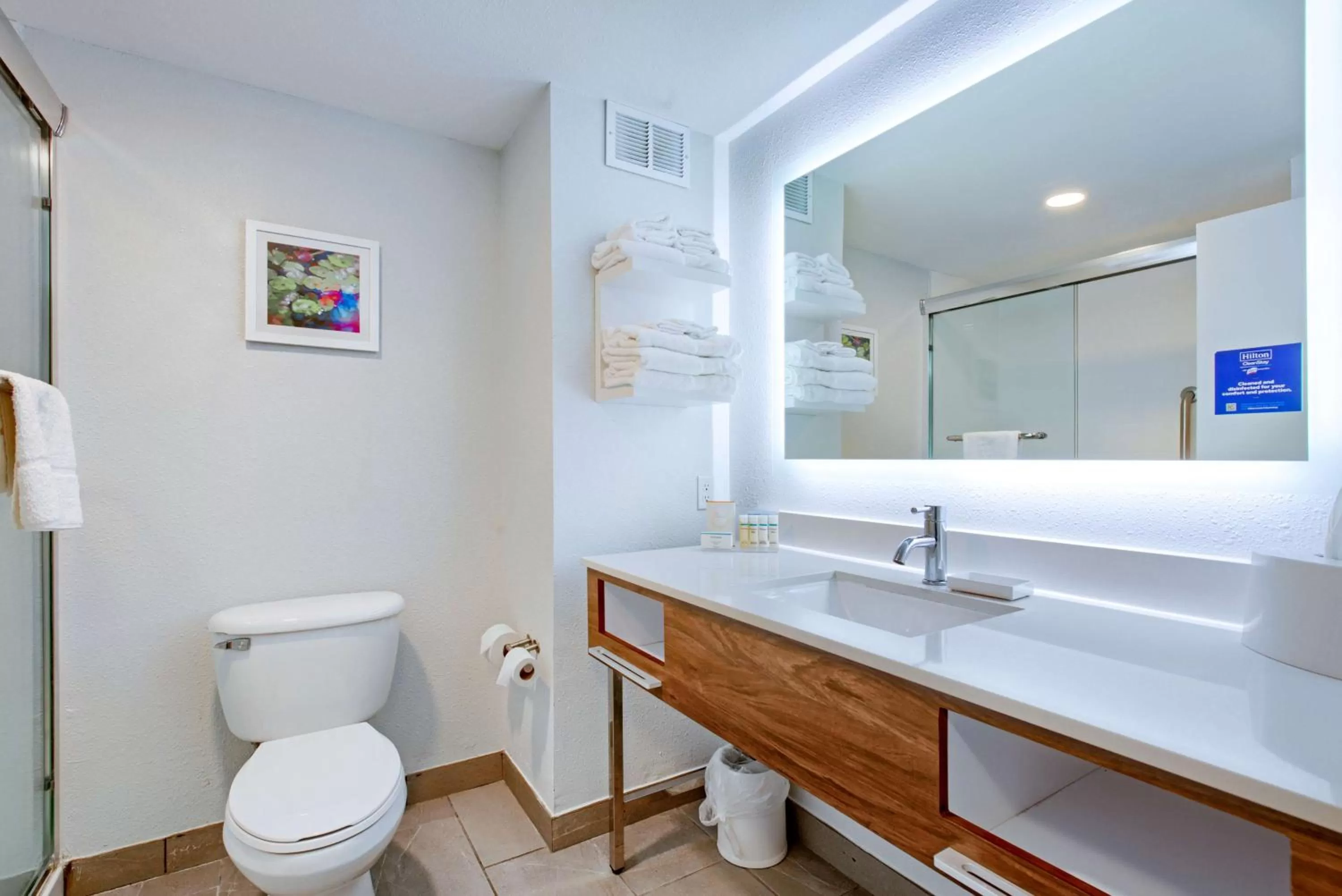 One-Bedroom King Suite - Non-Smoking in Hampton Inn Slidell