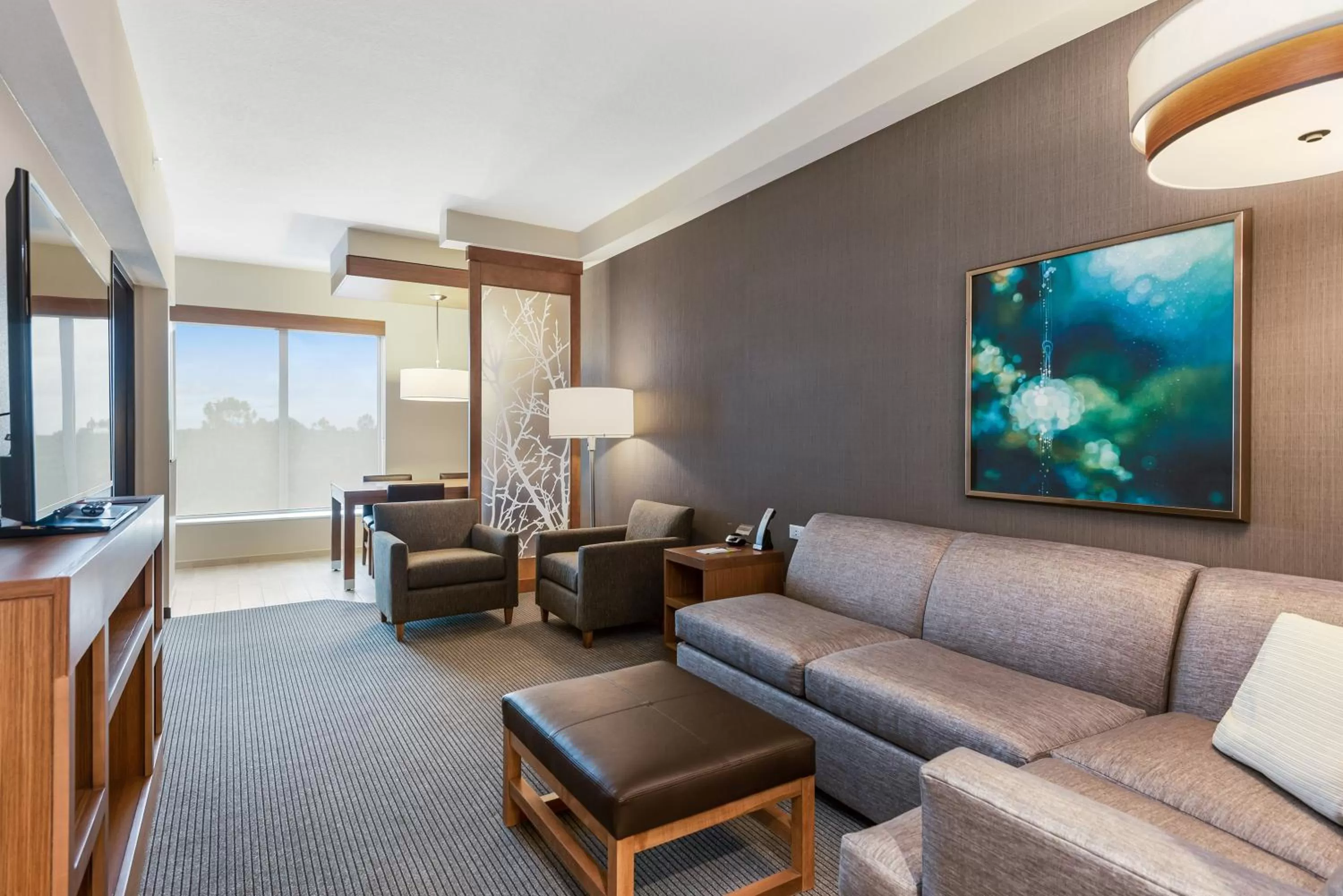 One-Bedroom King Suite with Sofa Bed in Hyatt Place Tampa/Wesley Chapel