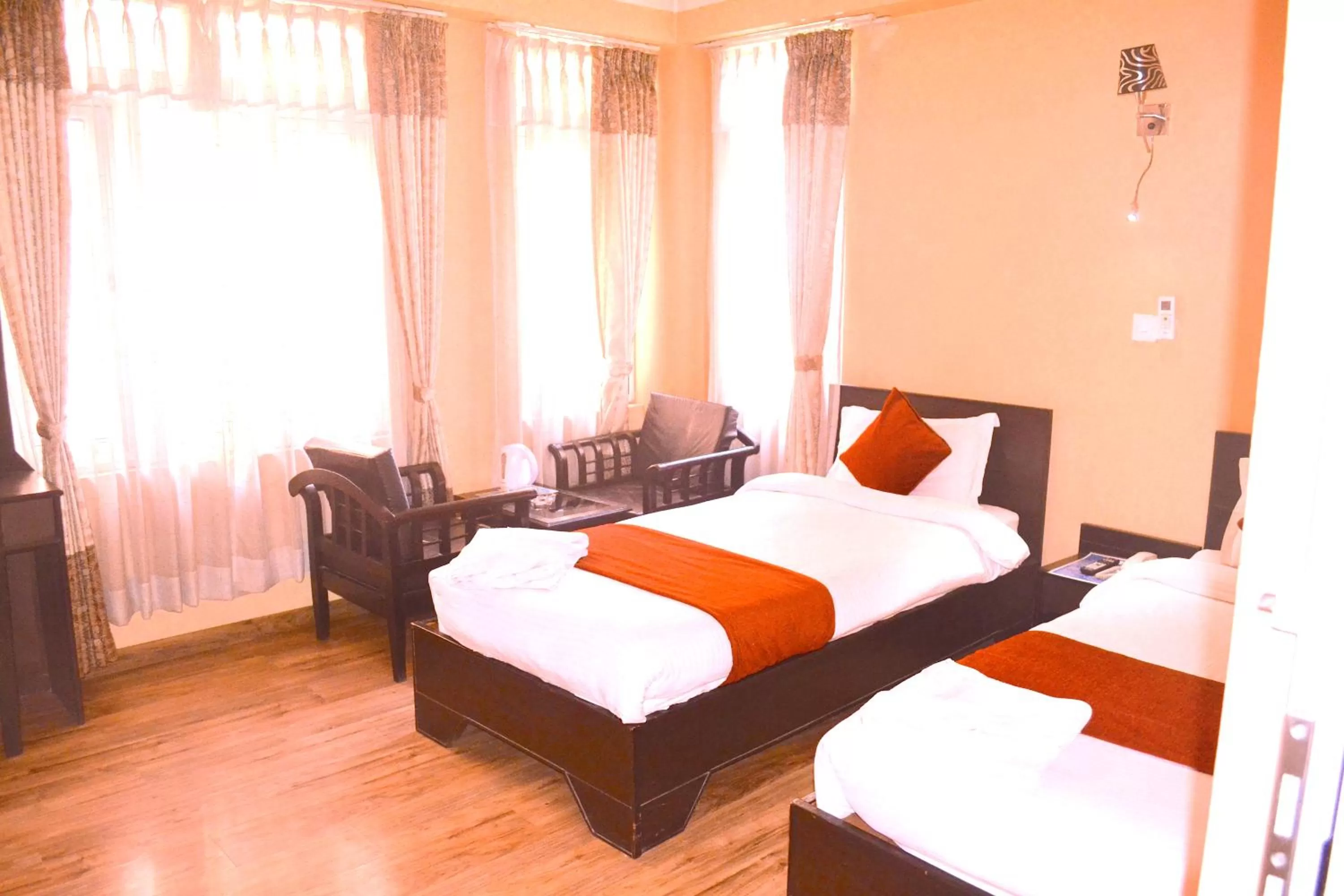 Deluxe Double or Twin Room in Hotel Access Nepal