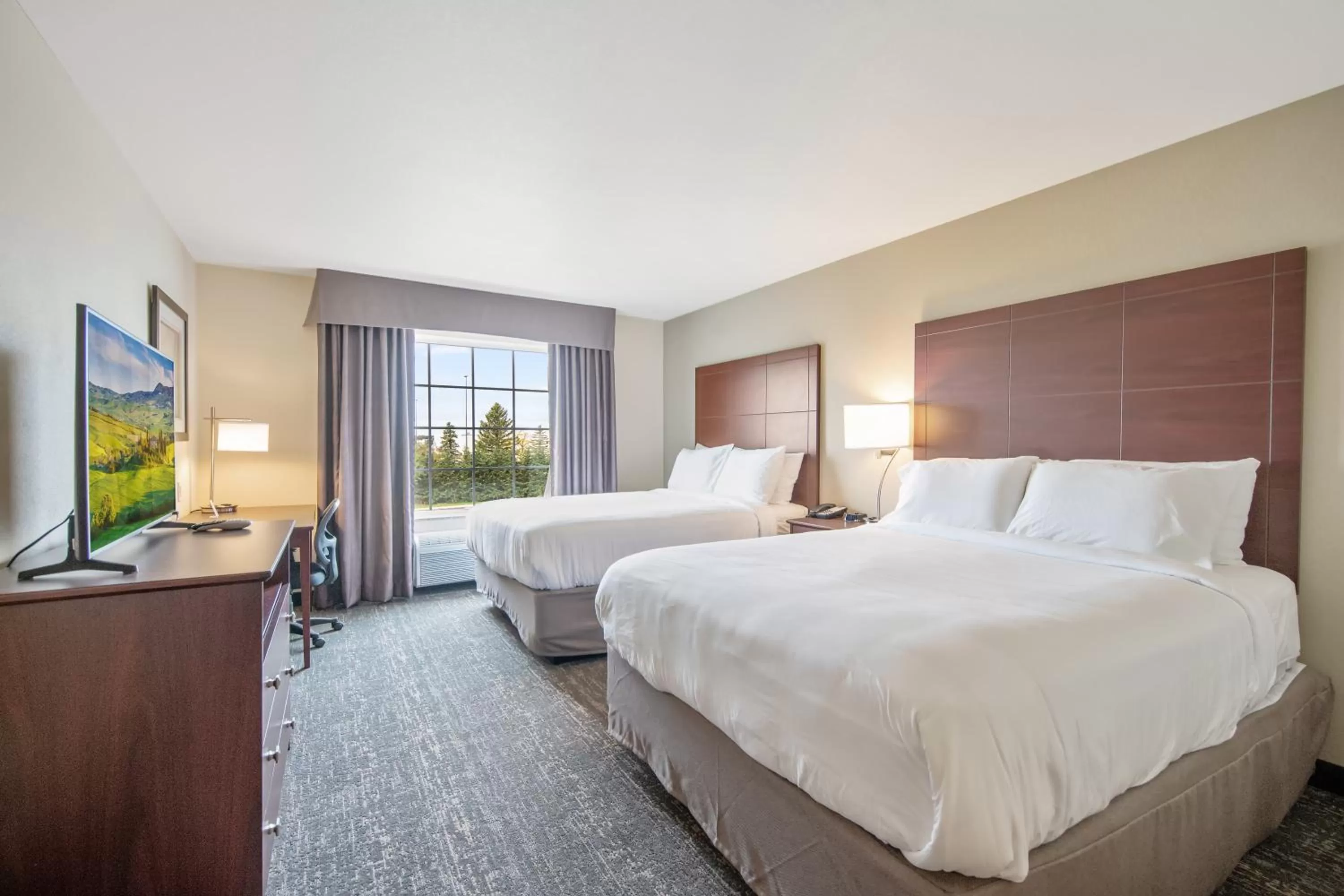 Queen Studio in Cobblestone Hotel & Suites - Austin