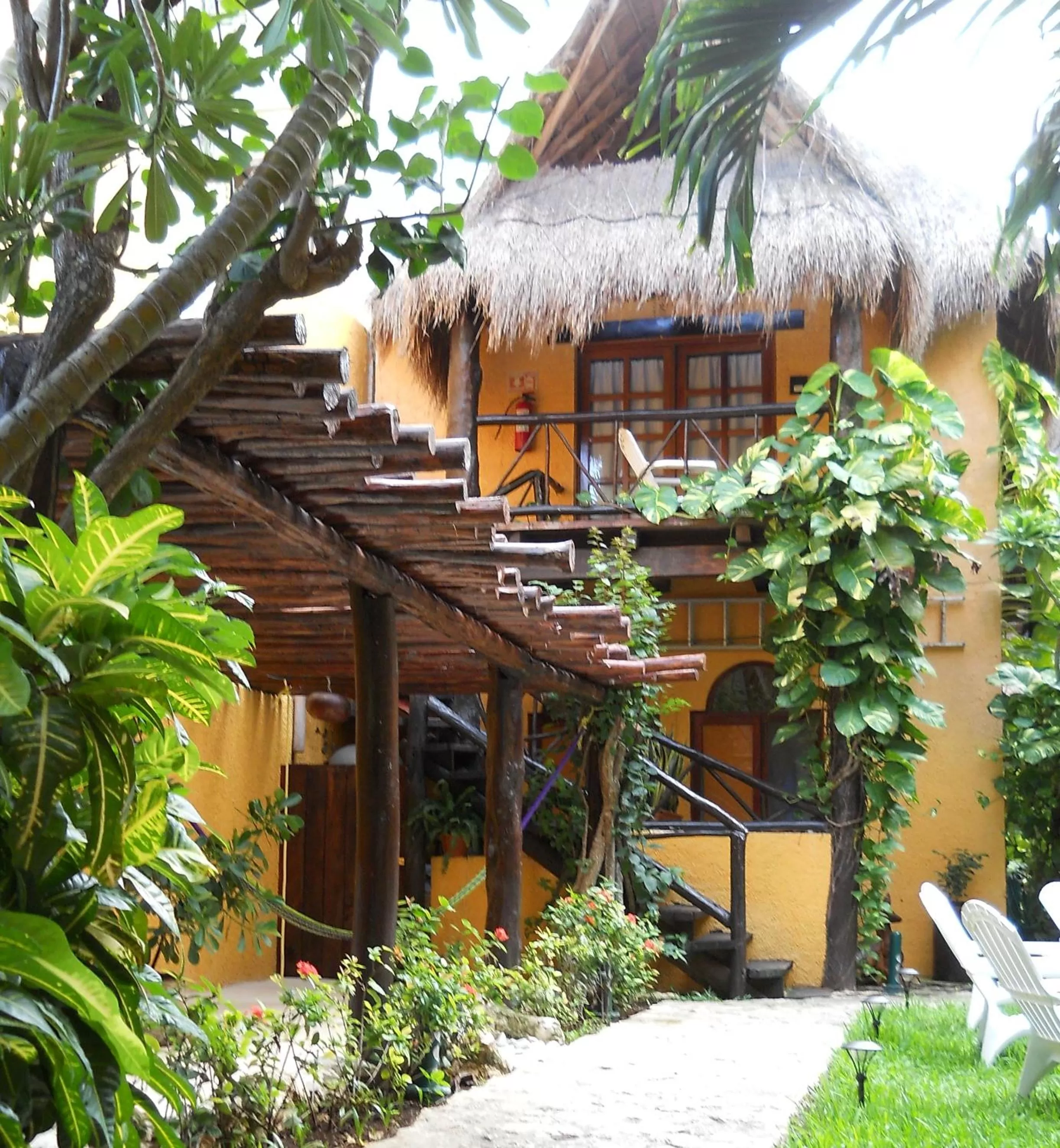 Coba Junior Suite with Private Bathroom in Hotel Bosque Caribe, 5th Av. zone