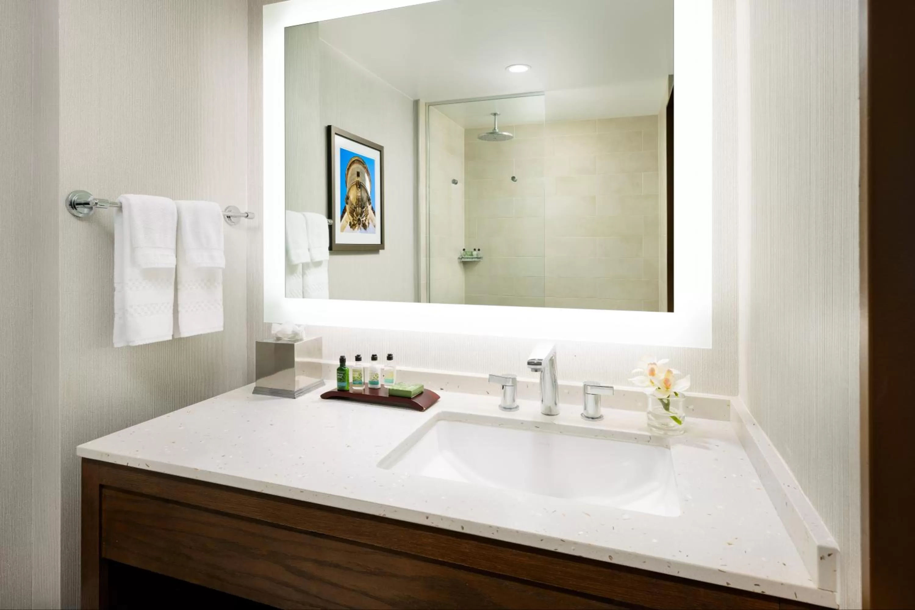 Standard King Room in The Anza-a Calabasas Hotel