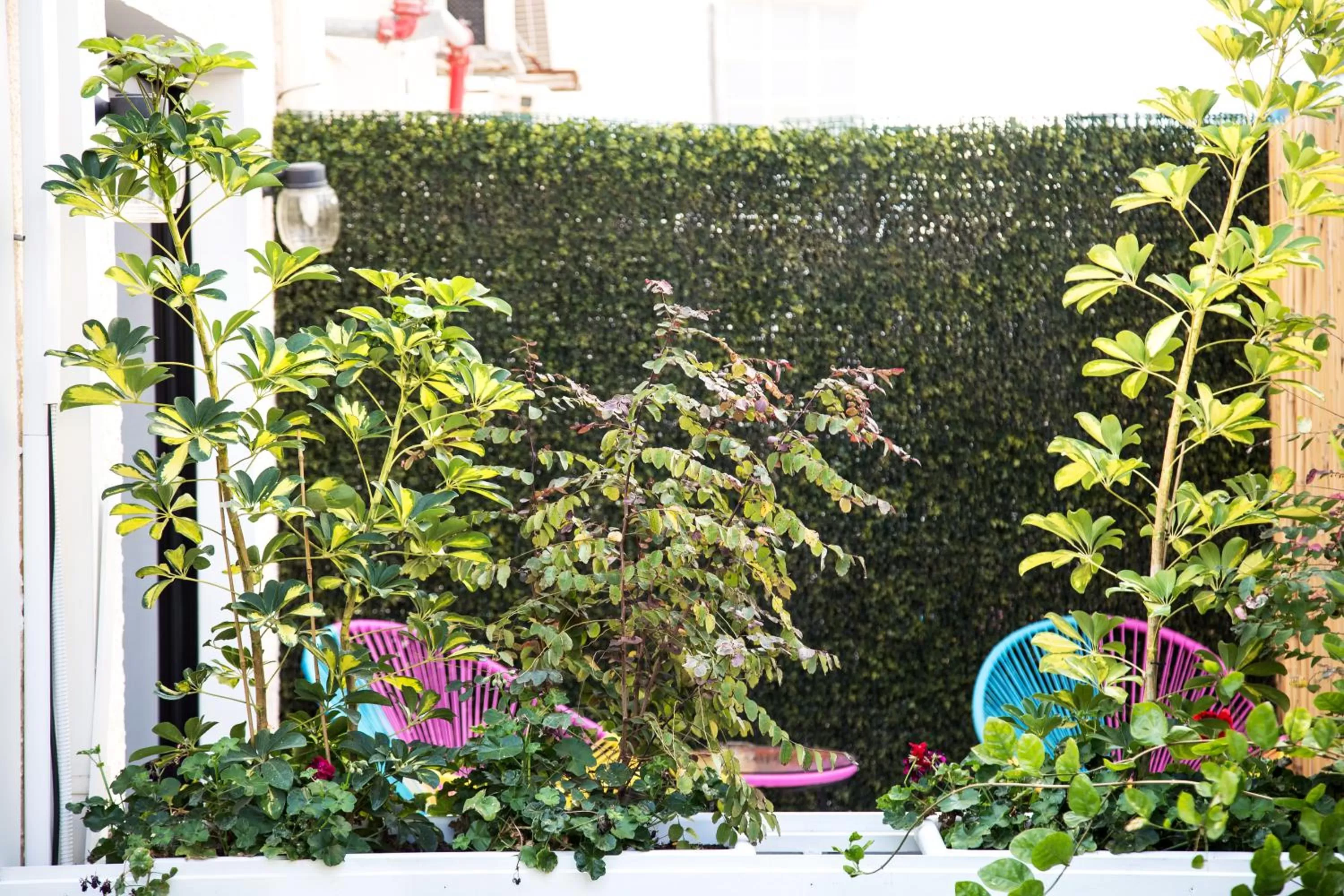 Deluxe Room in Shtarkman Erna Boutique Hotel Nahariya