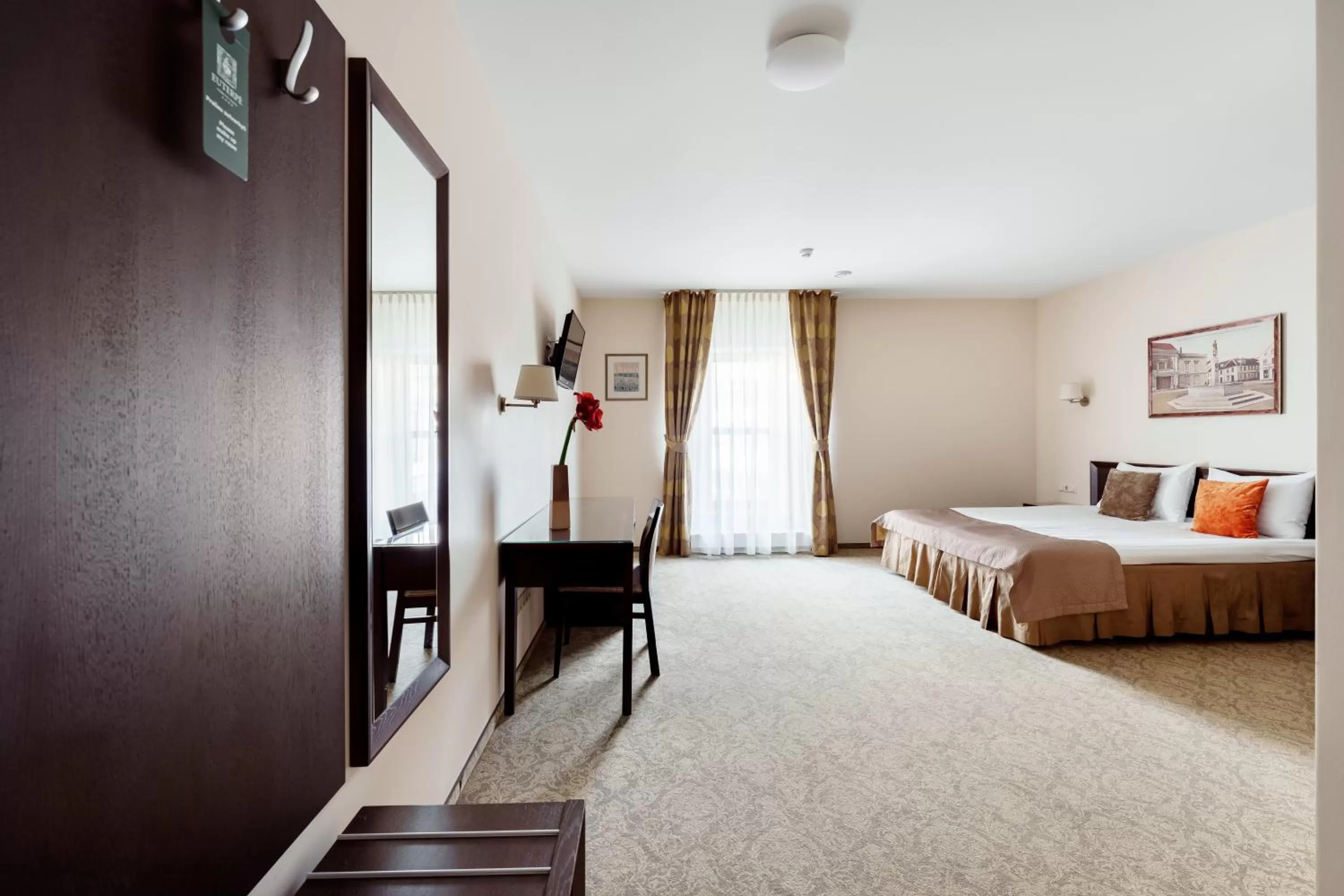 Standard Double or Twin Room - single occupancy in Euterpe Hotel