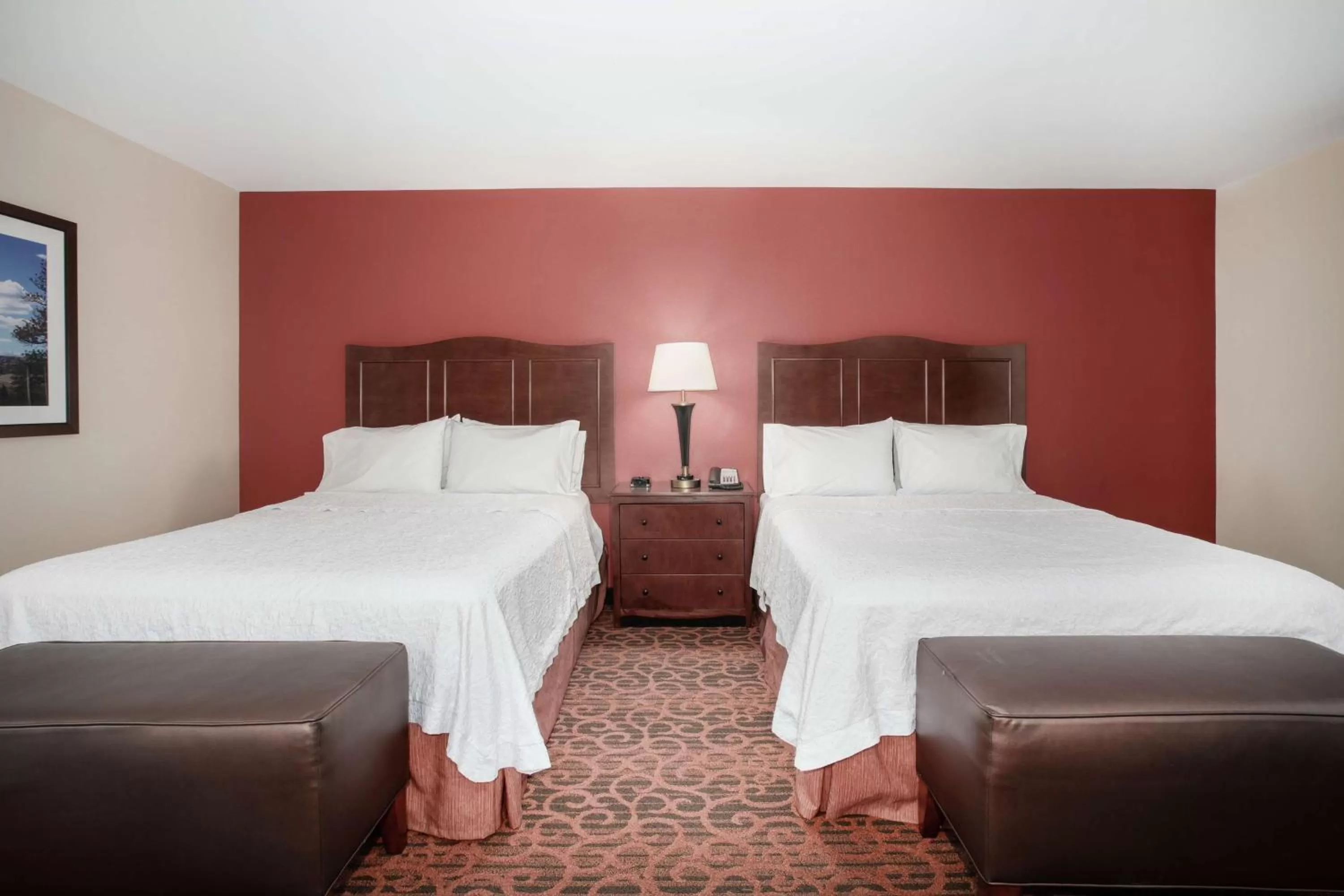 Queen Room with Two Queen Beds - Mobility and Hearing Access/Non-Smoking in Hampton Inn and Suites Denver/South-RidgeGate