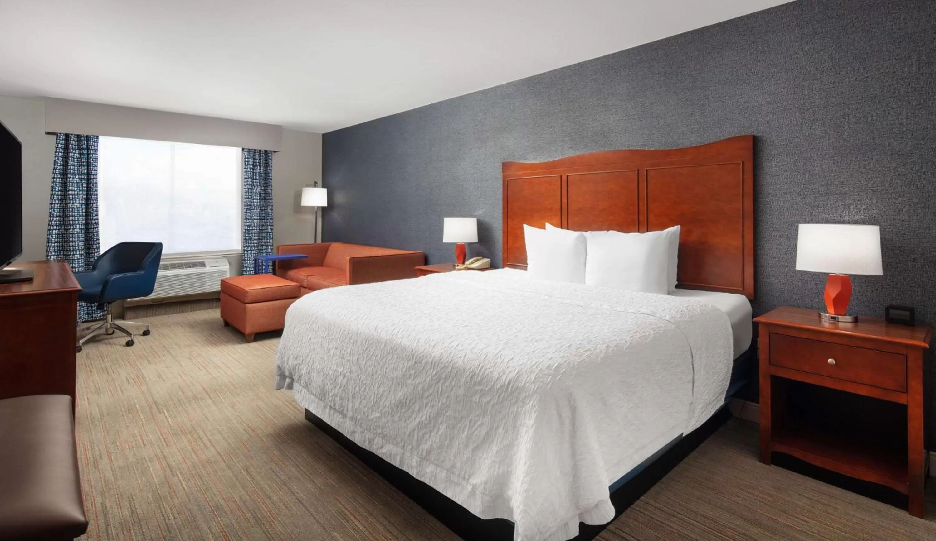 King Room - Hearing Accessible with Shower/Non-Smoking  in Hampton Inn Medford