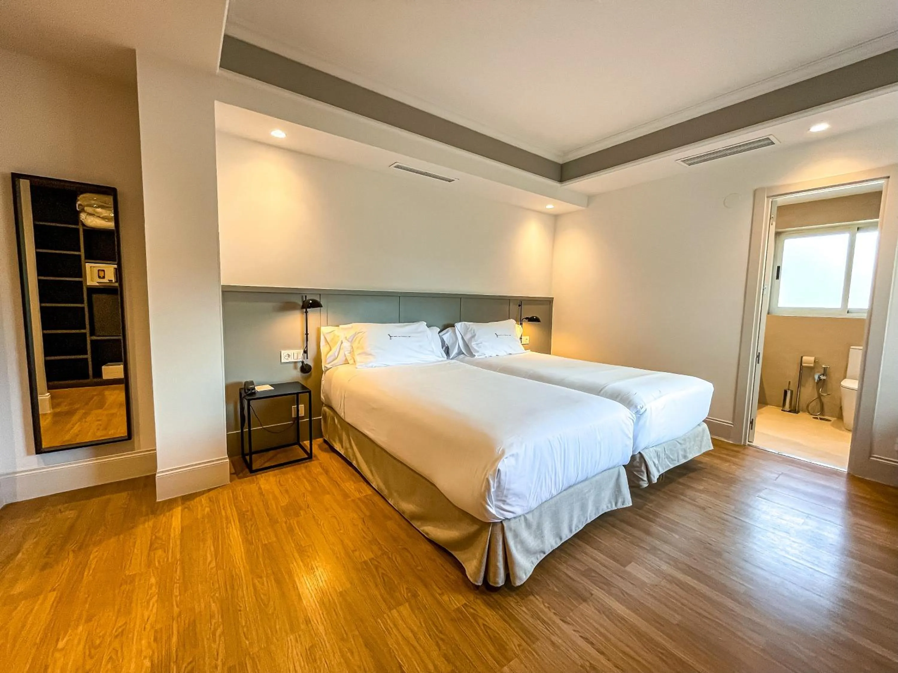 Standard Twin Room in Hotel Rio Bidasoa