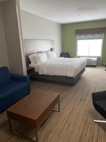 King Suite with Sofa Bed in Holiday Inn Express & Suites - Enterprise by IHG