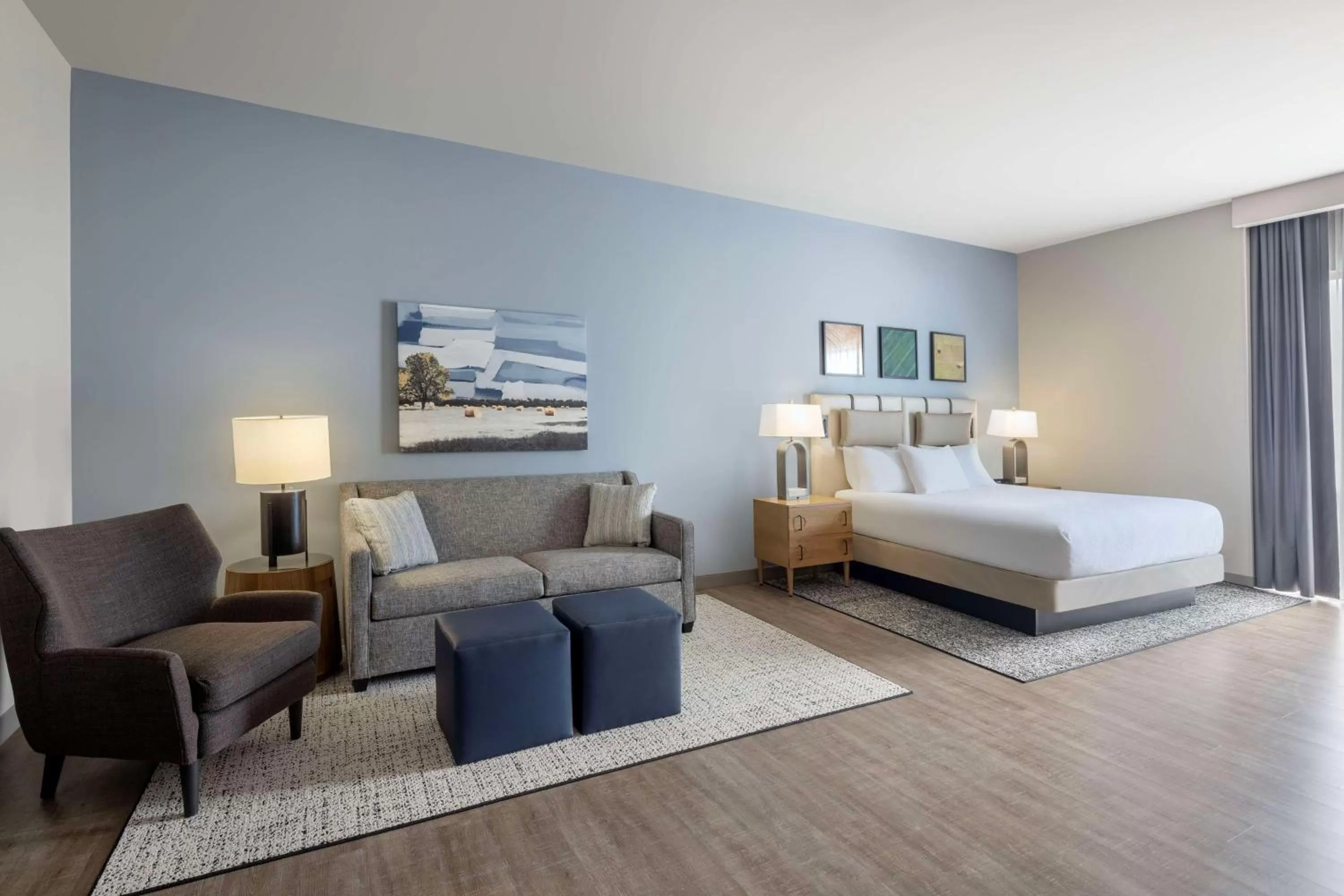 Deluxe King Studio Suite in Embassy Suites By Hilton Bowling Green