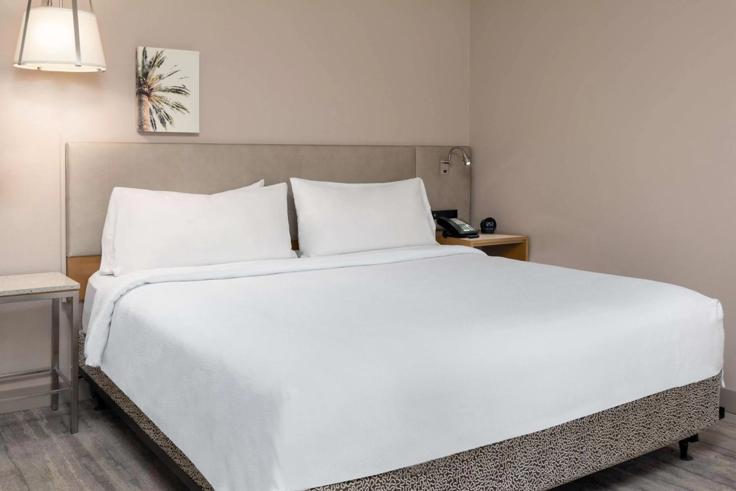 One-Bedroom Mini Suite with Sofa Bed in Hilton Garden Inn Ft. Lauderdale SW/Miramar