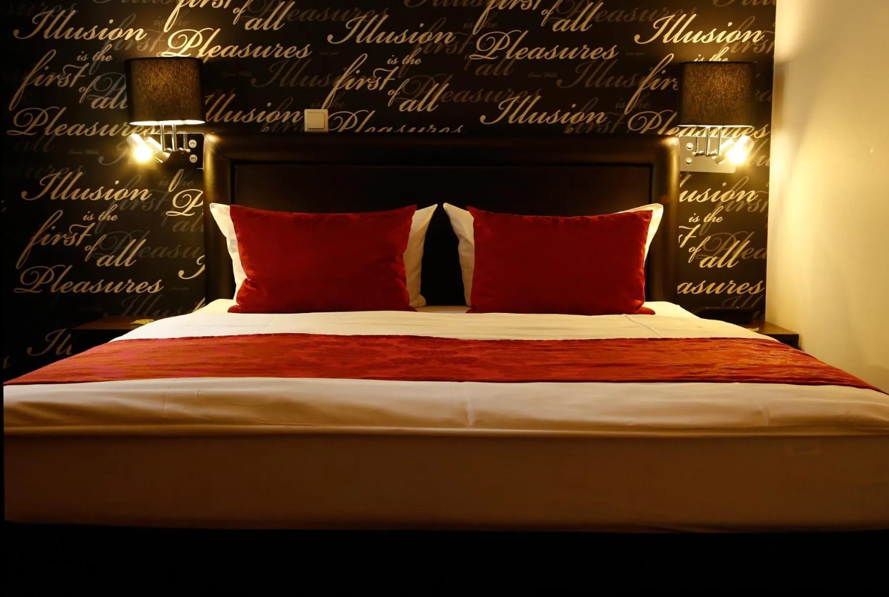 Double Room - single occupancy in Hotel Kronprinz