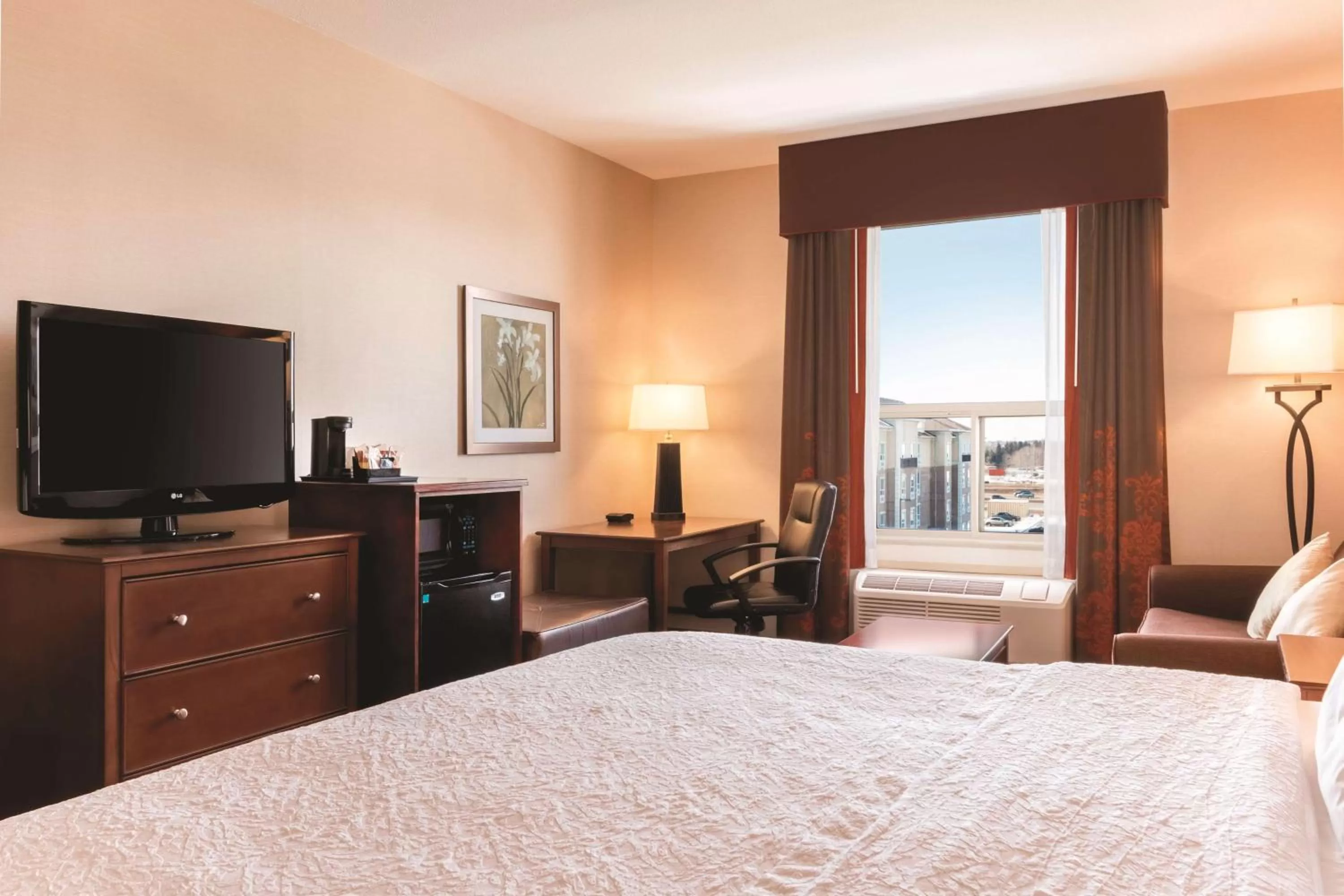 King Studio with Sofa Bed - single occupancy - Non-Smoking in Hampton Inn by Hilton Edmonton South