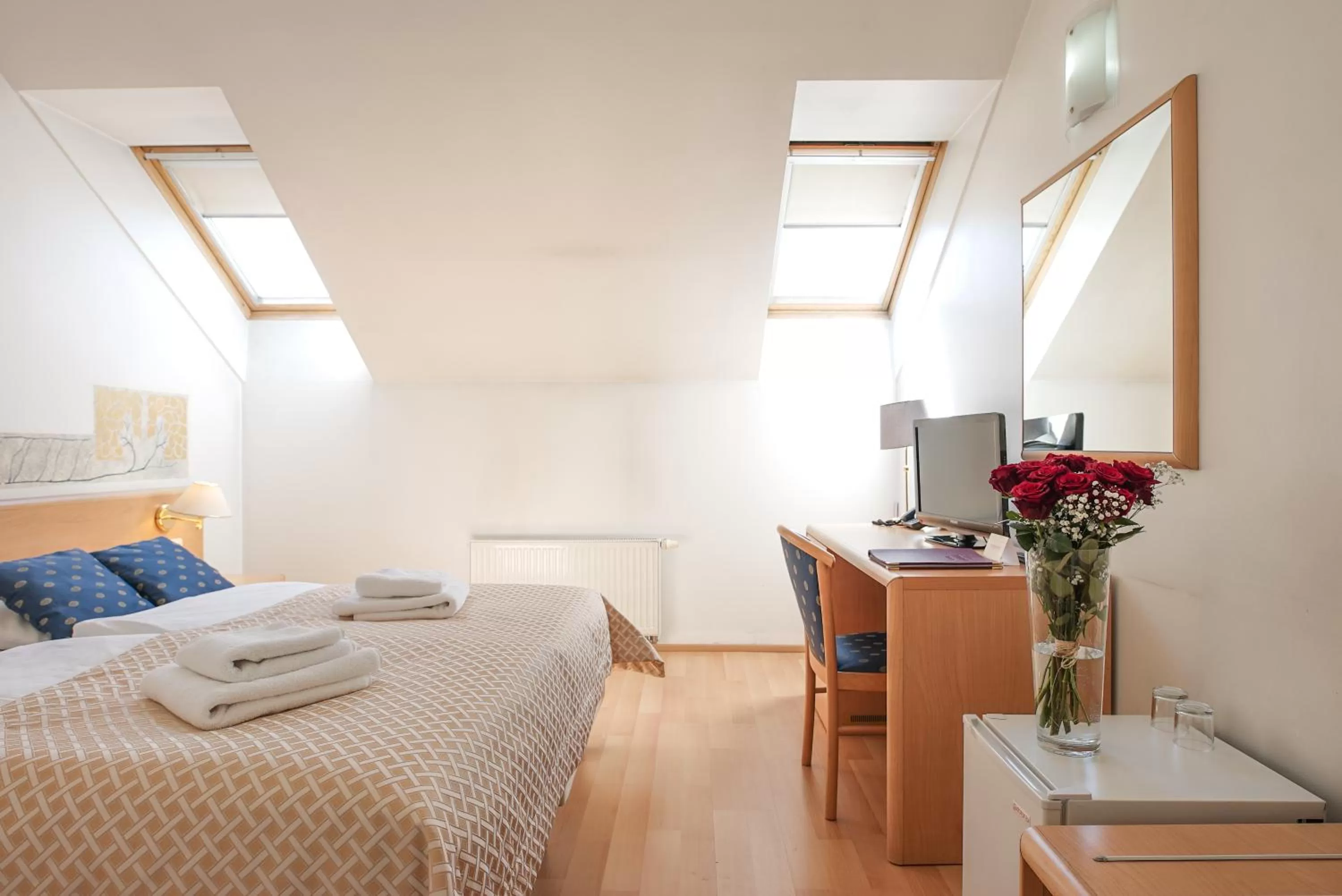 Single Room in Hotel Tivoli Prague