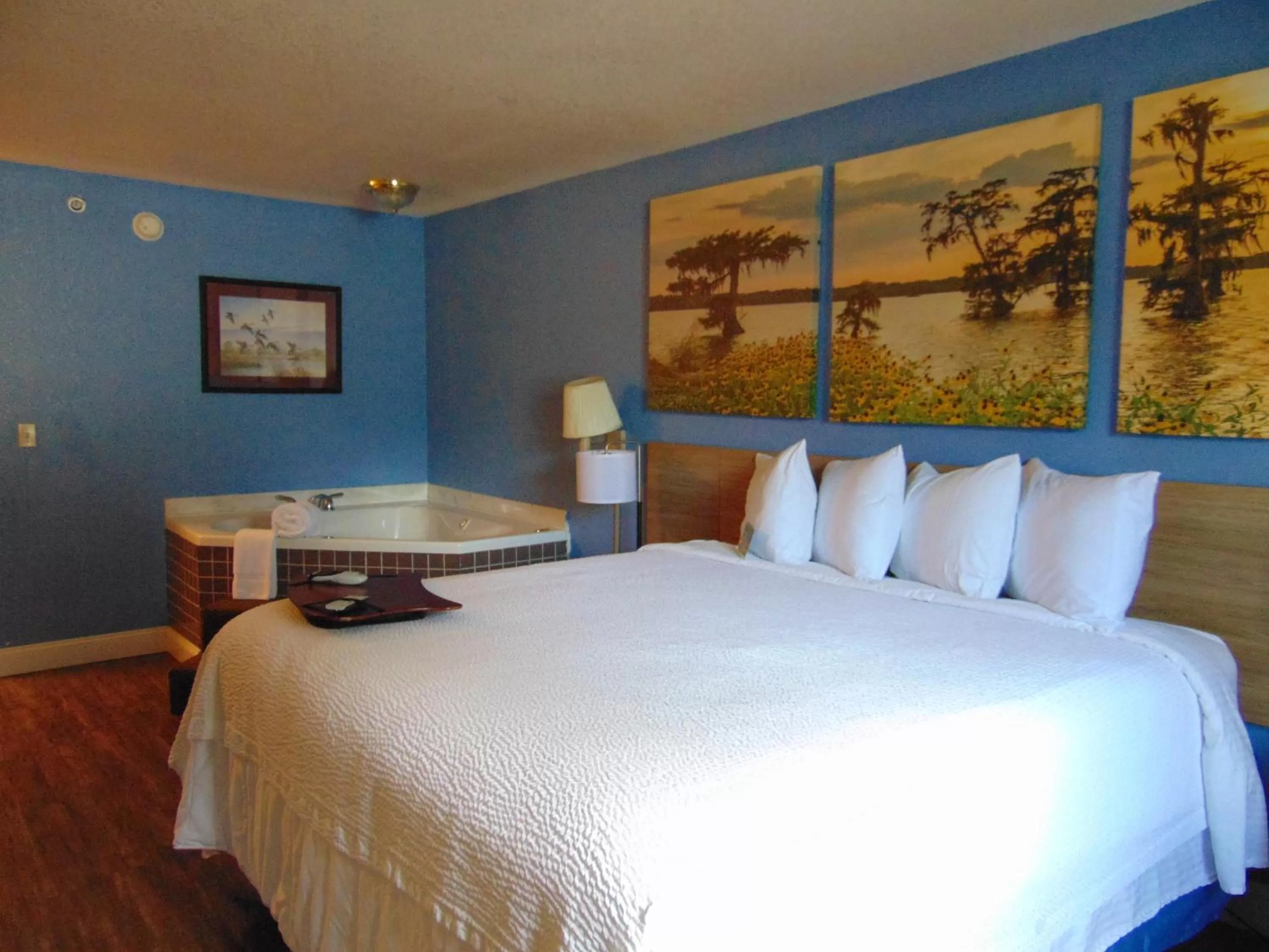 Business King Room - Non-Smoking in Days Inn by Wyndham Fordyce