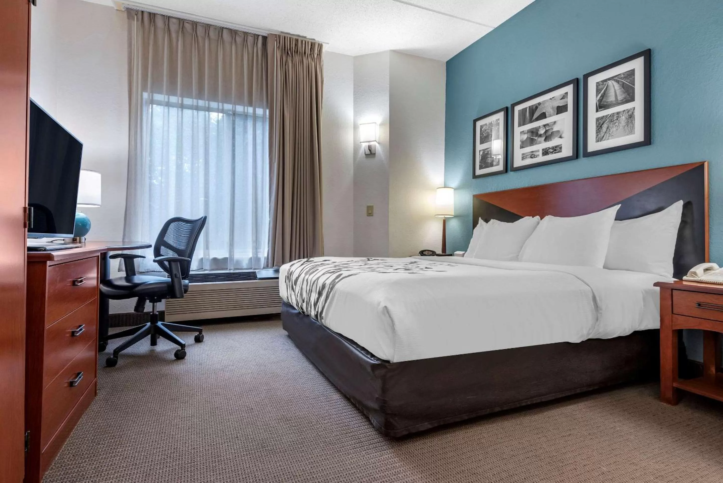 Standard King Room in Sleep Inn Amherst