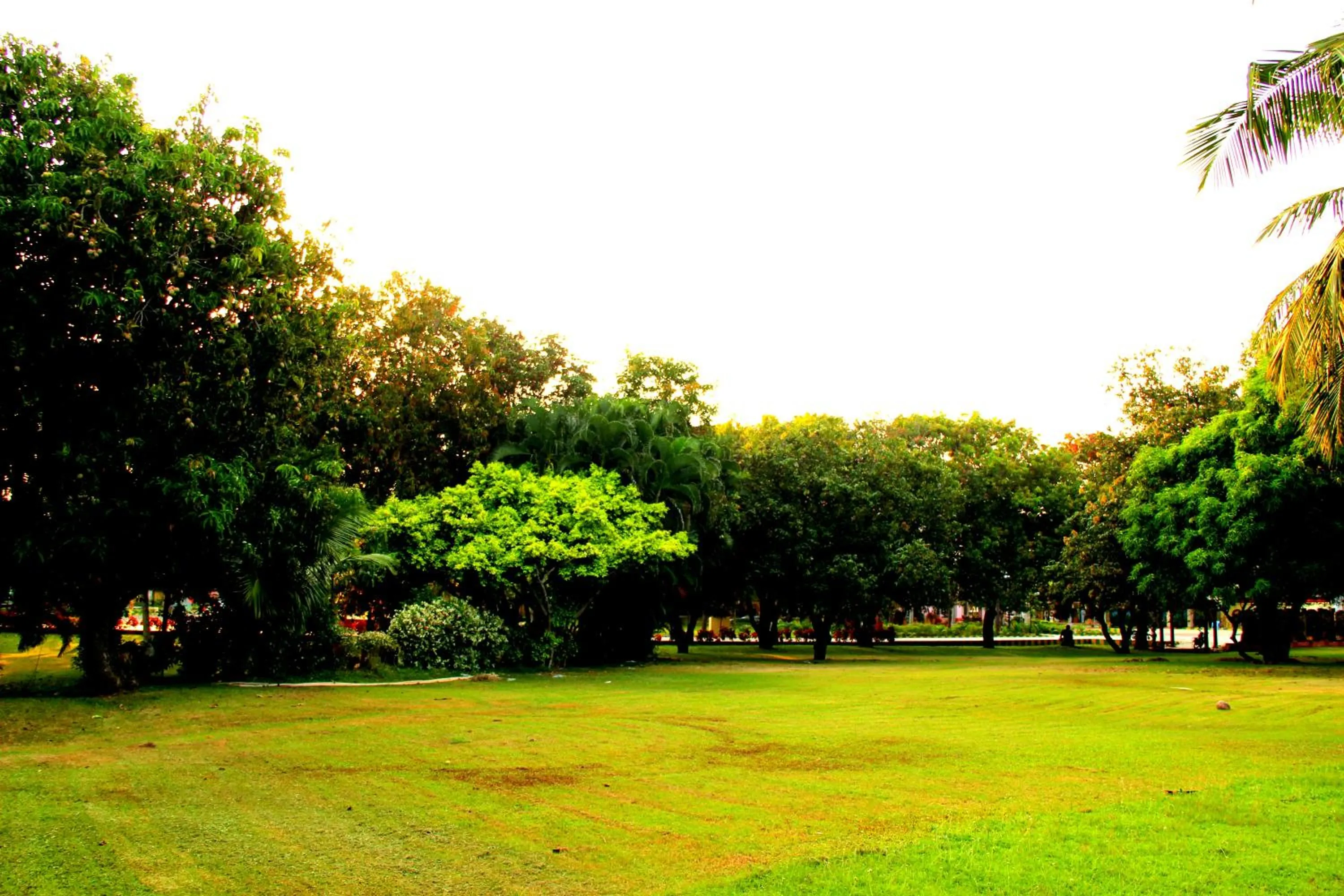 Sea View Room in Vgp Golden Beach Resort