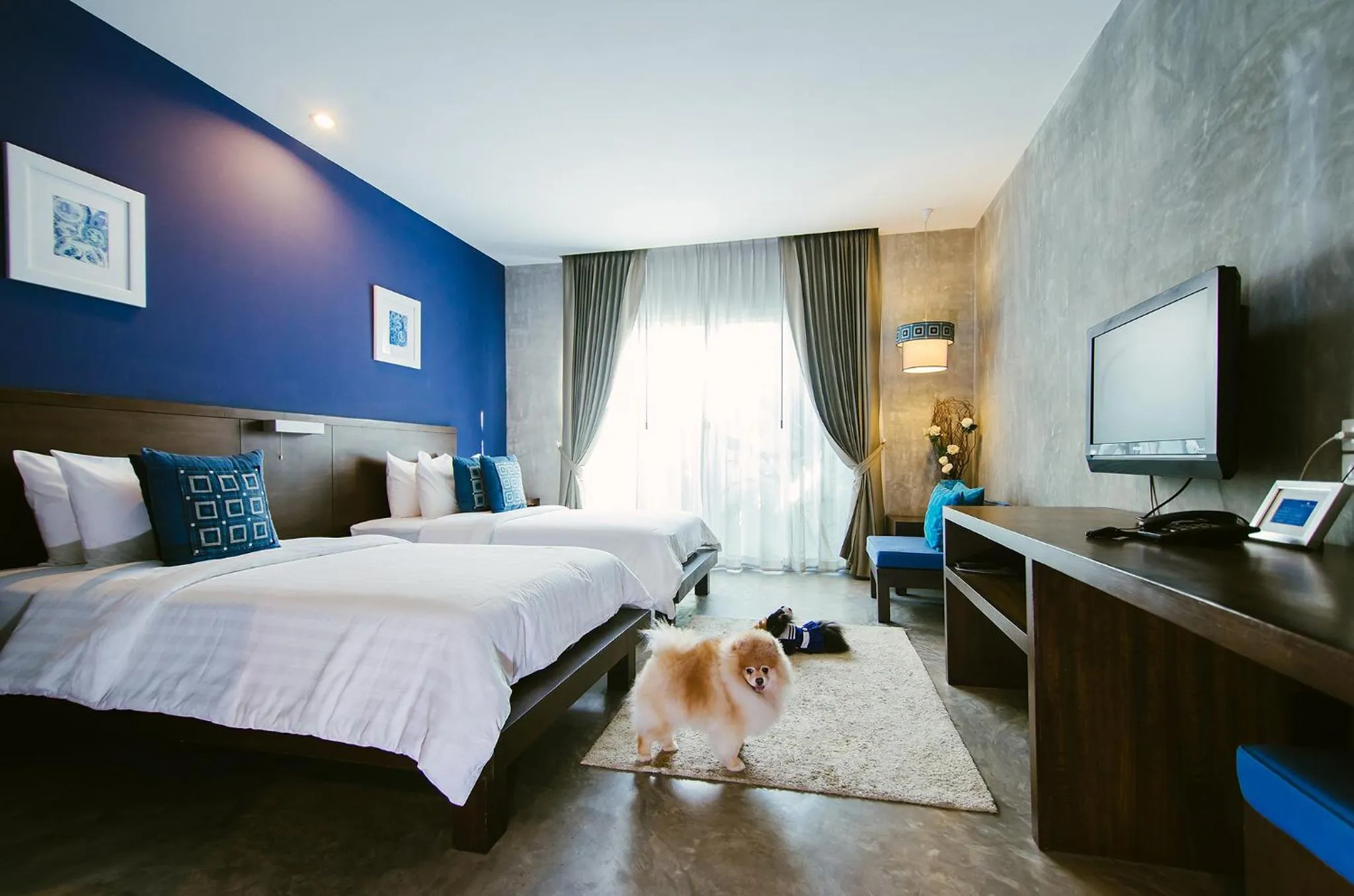 Deluxe Twin Room in Ketawa Pet Friendly Hotel