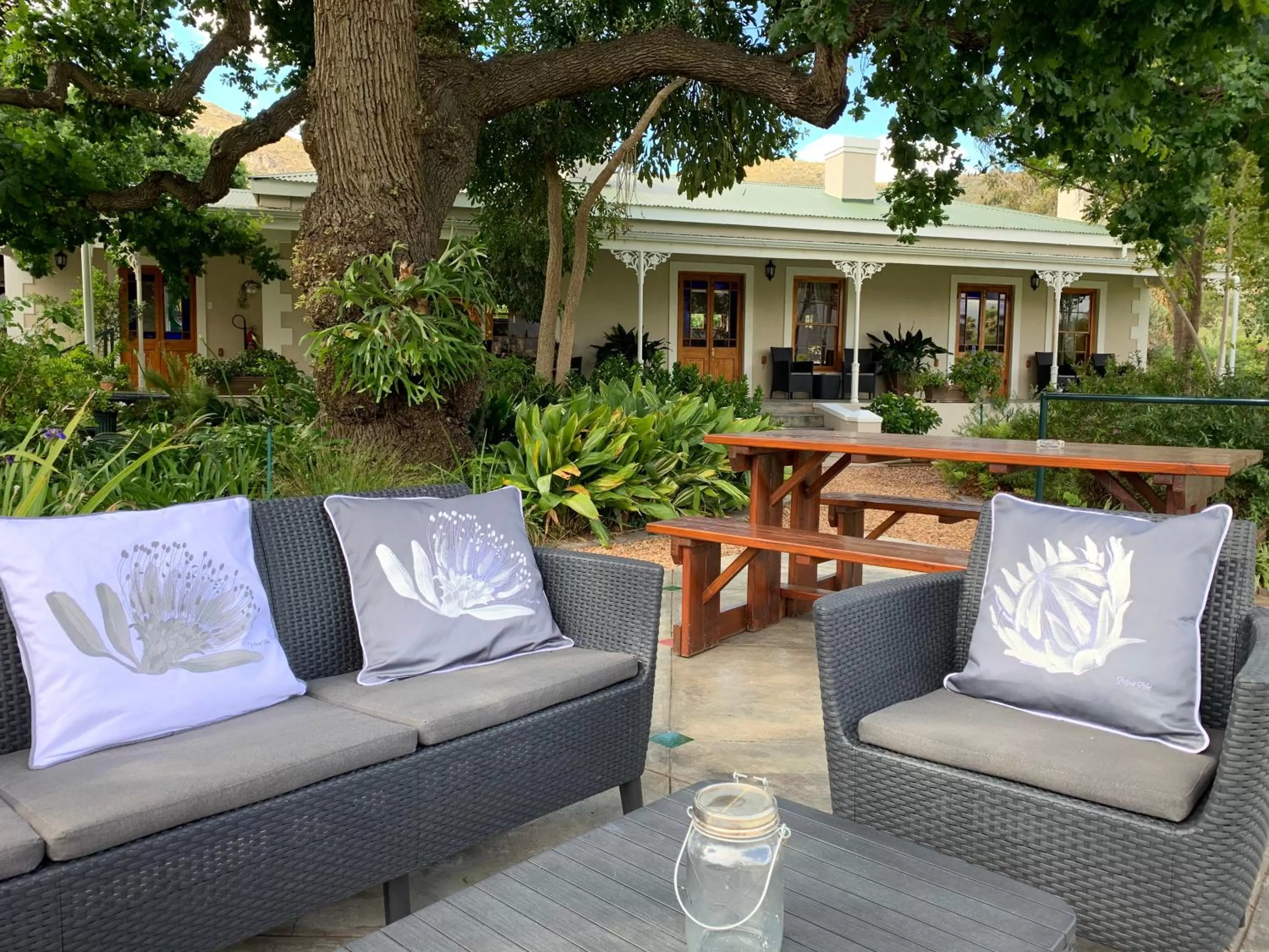 Montagu Vines Guesthouse