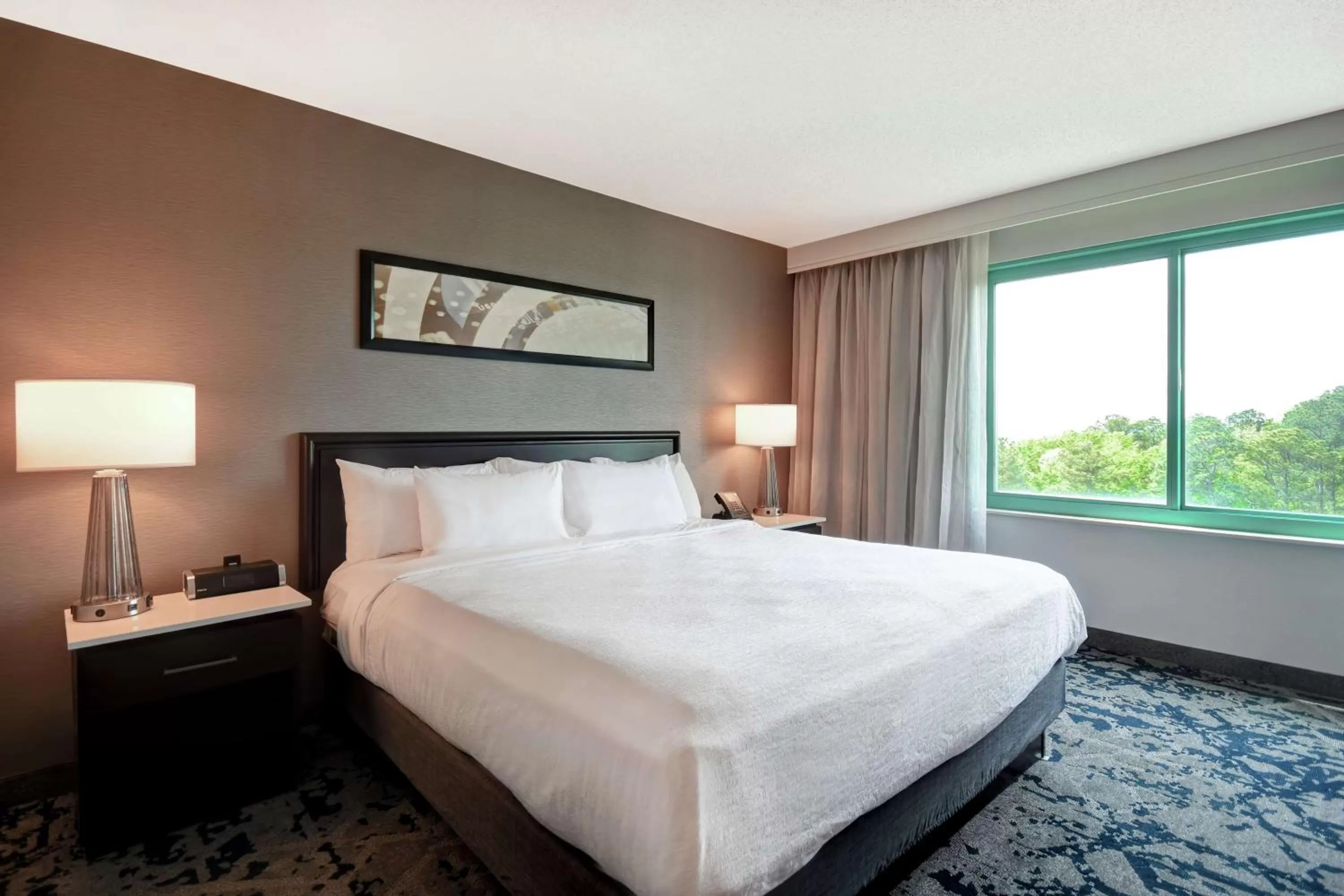 Two-Room King Suite - Non-Smoking in Embassy Suites by Hilton Raleigh Durham Research Triangle