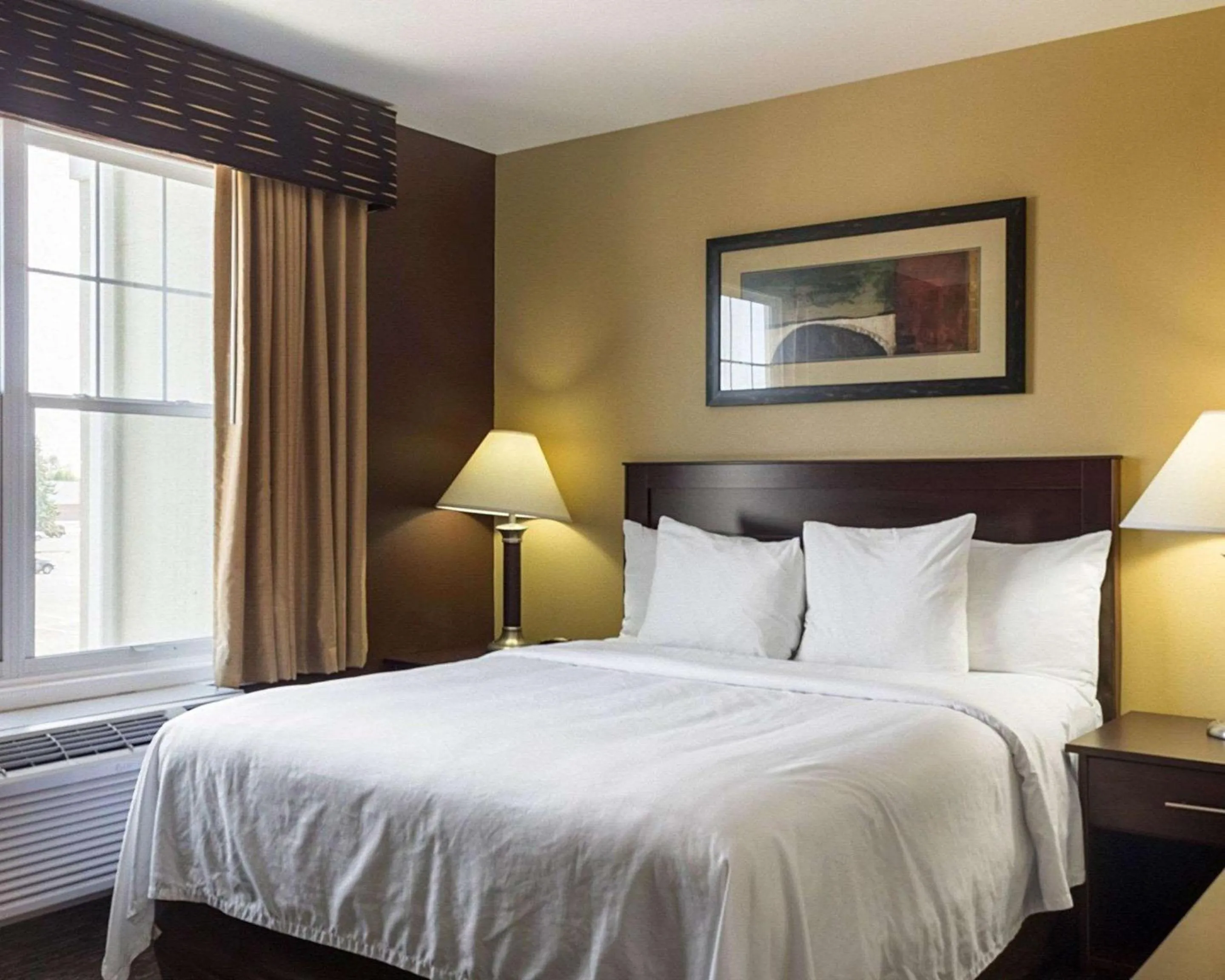 Efficiency Queen Suite - Accessible/Non-Smoking in MainStay Suites Minot