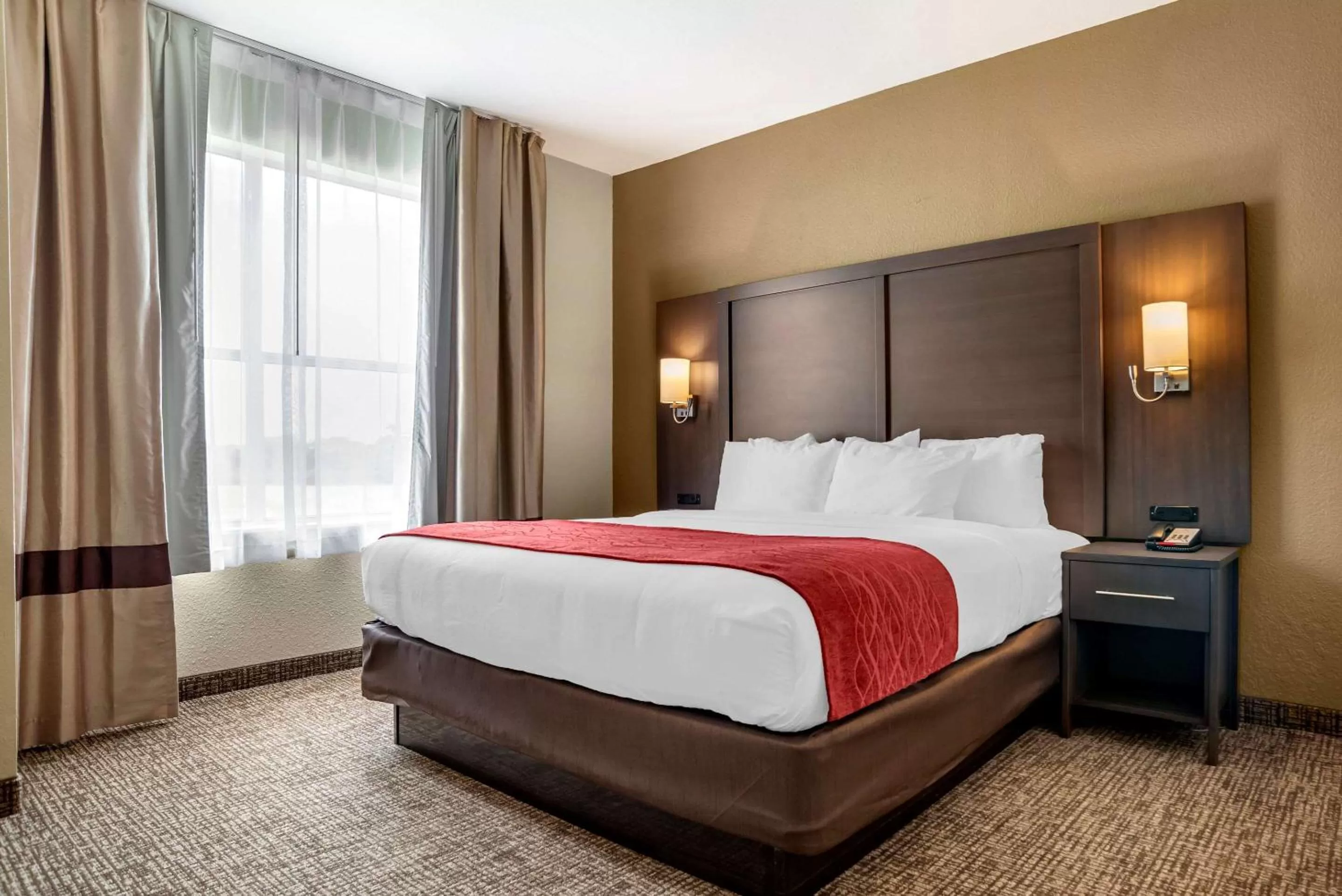 King Suite with Sofa Bed - Non-Smoking in Comfort Inn & Suites Millbrook-Prattville