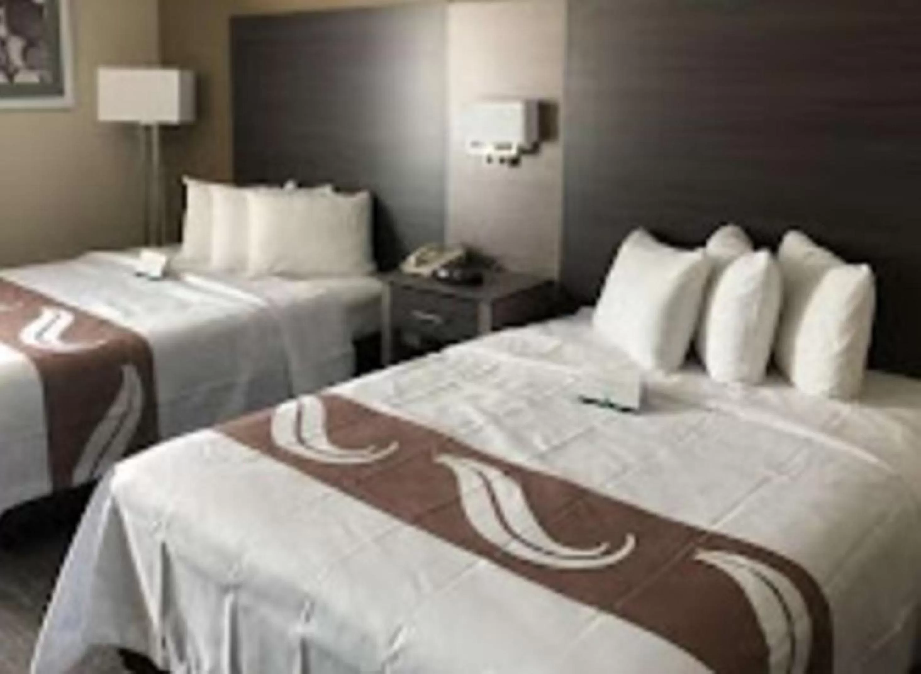 Queen Room with Two Queen Beds - Non-Smoking in Quality Inn & Suites Roanoke - Fort Worth North