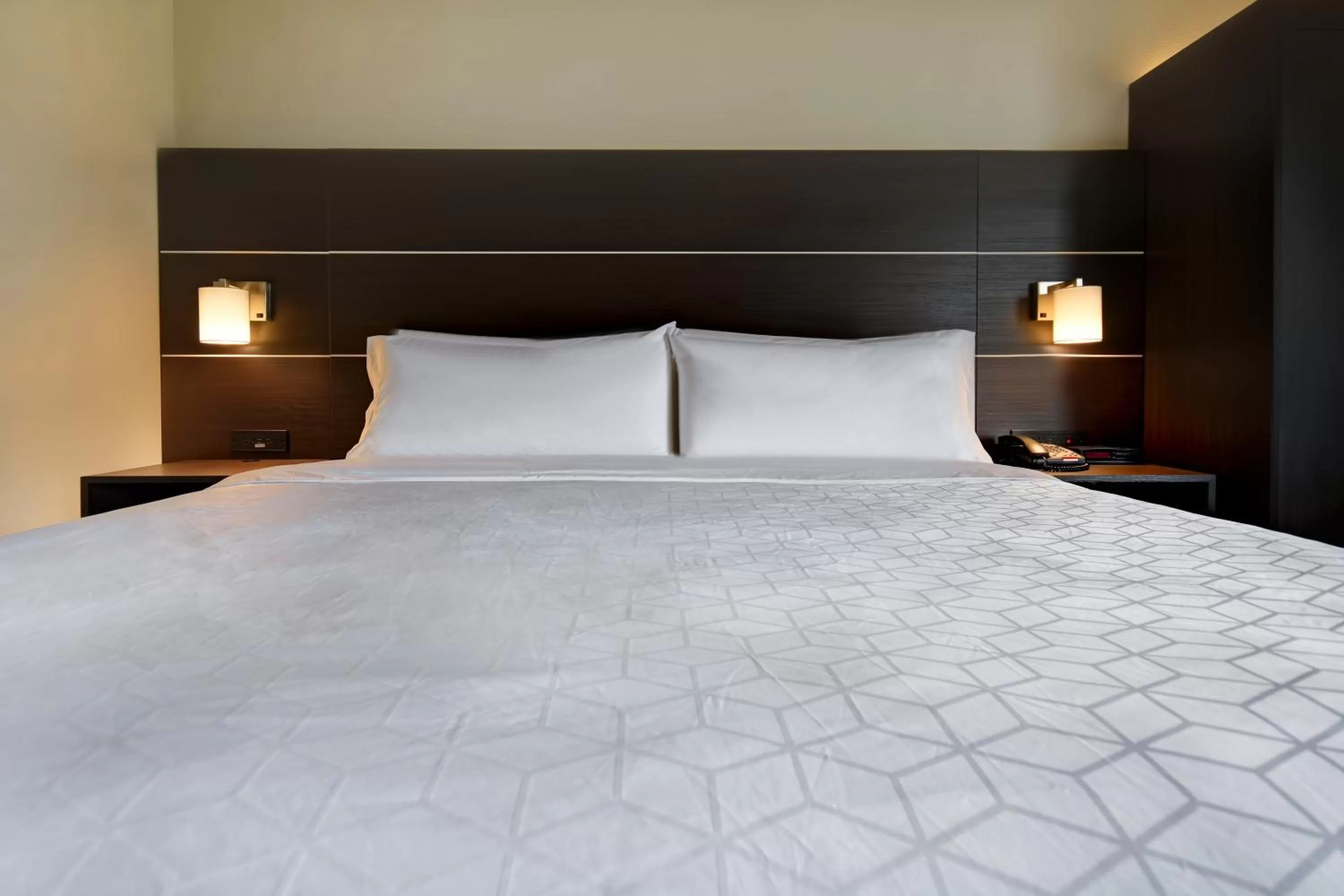 Standard King Room with Mobility Accessible Roll-In Shower in Holiday Inn Express & Suites Allentown-Dorney Park Area, an IHG Hotel