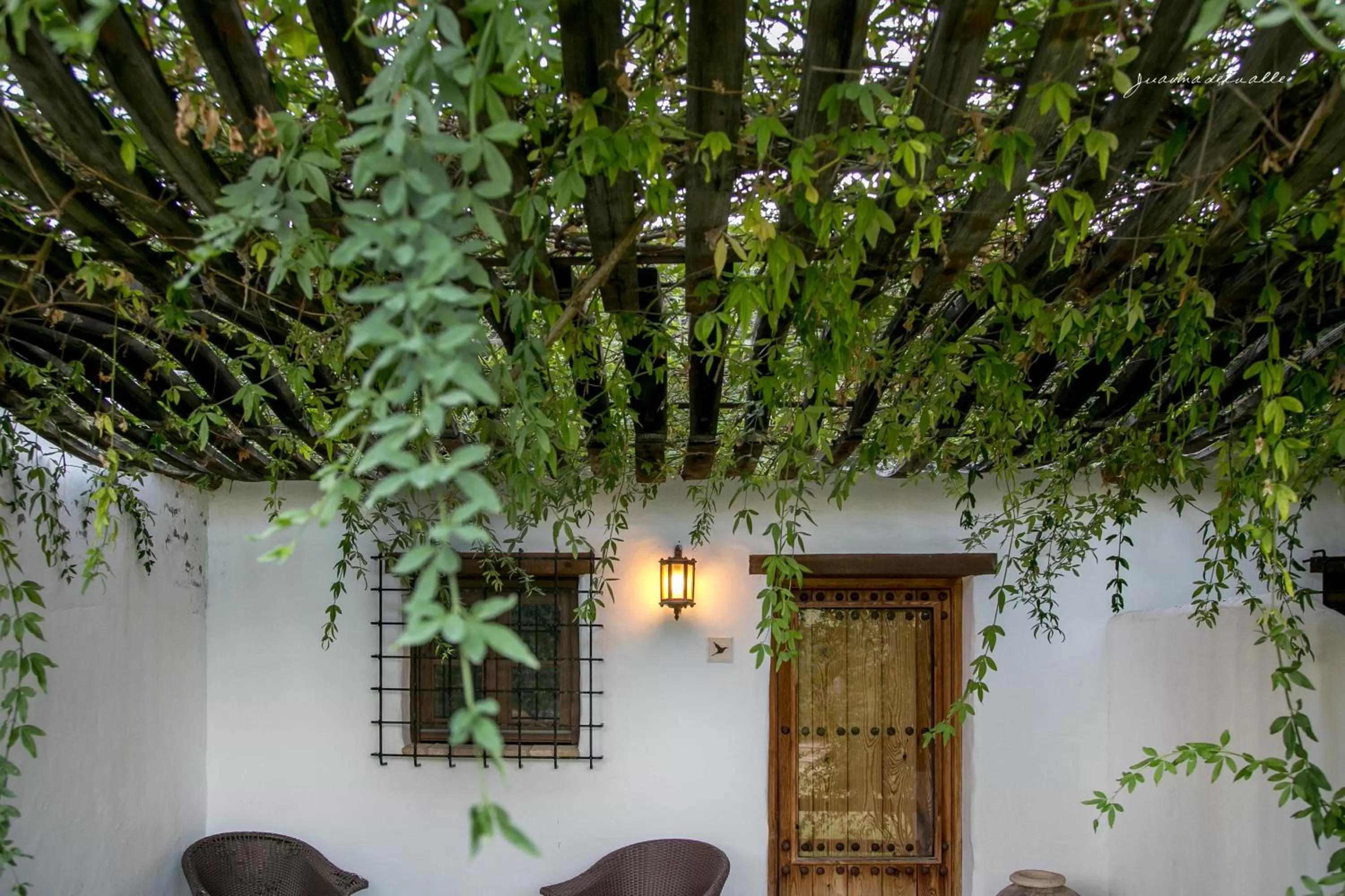 Twin Room in Ardea Purpurea