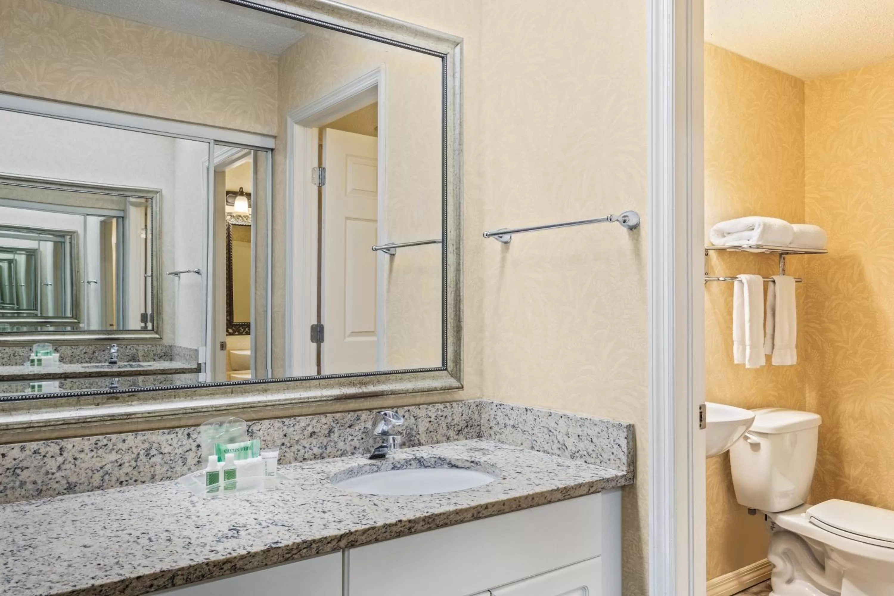 Standard Room in Holiday Inn & Suites Clearwater Beach S-Harbourside