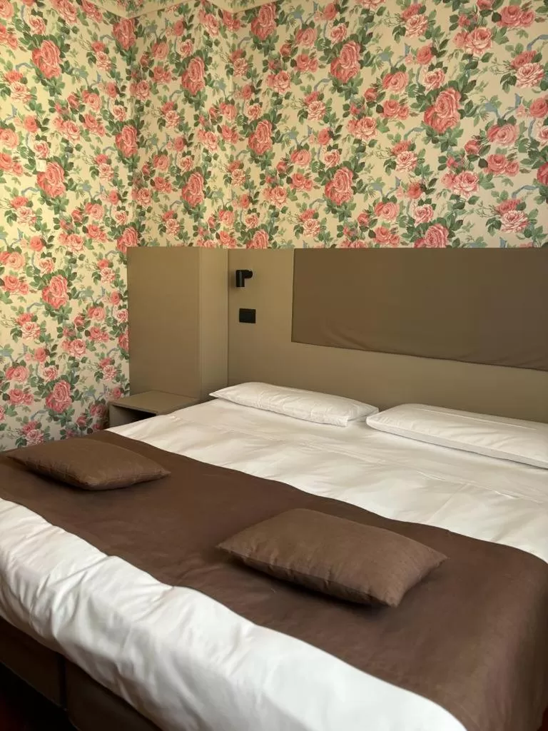 Economy Double or Twin Room in Hotel Plaza