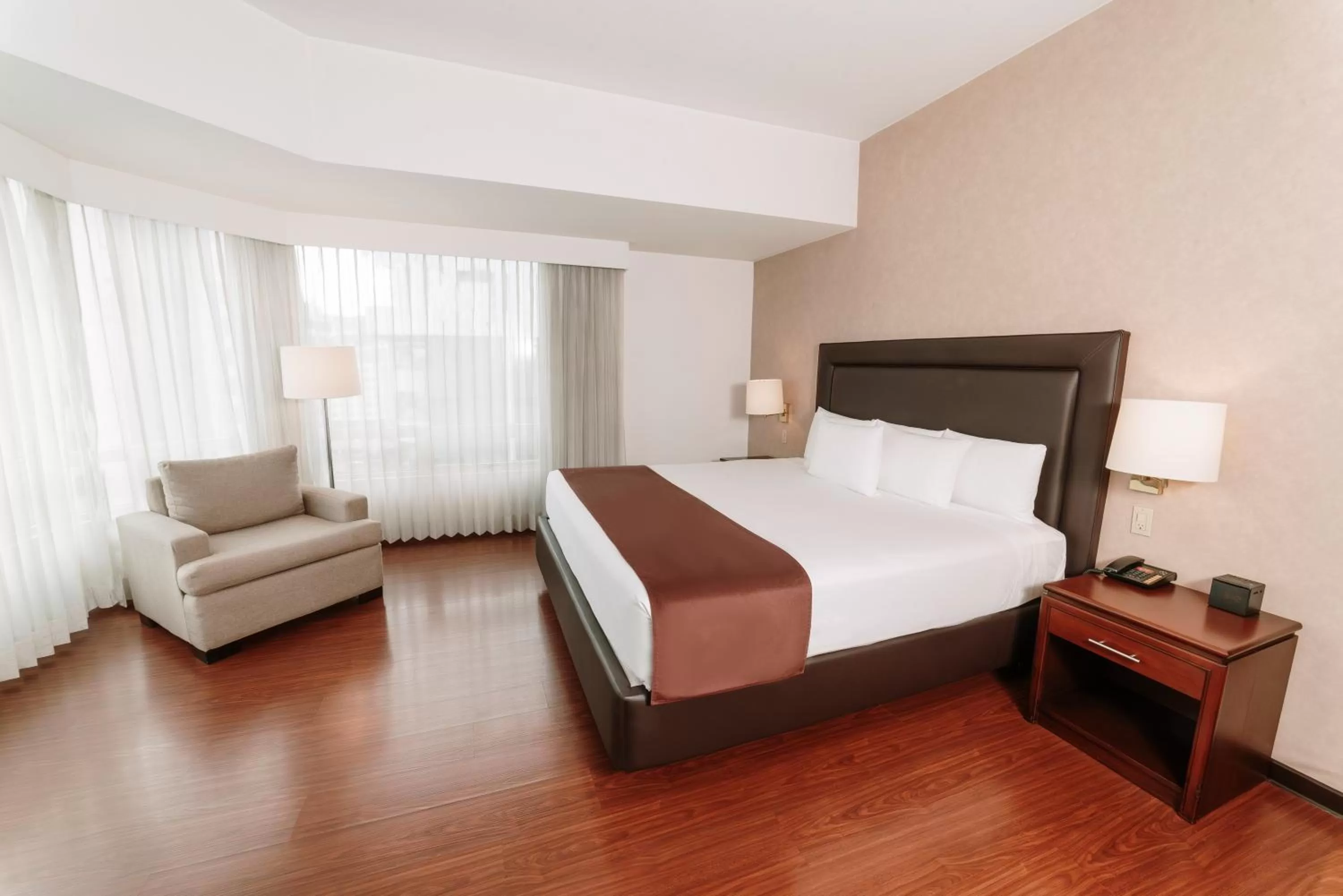 King Suite - single occupancy - Non-Smoking in Clarion Suites Guatemala City