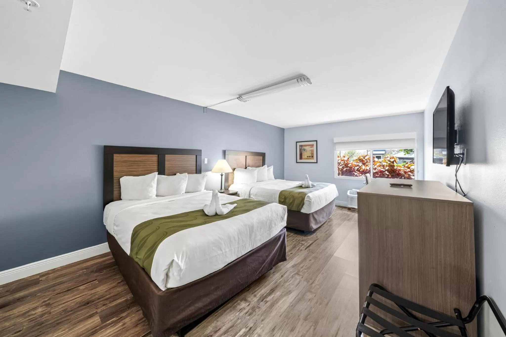 Queen Room with Two Queen Beds - Accessible/Non-Smoking  in Quality Inn & Suites Tampa near Fairgrounds and Casino