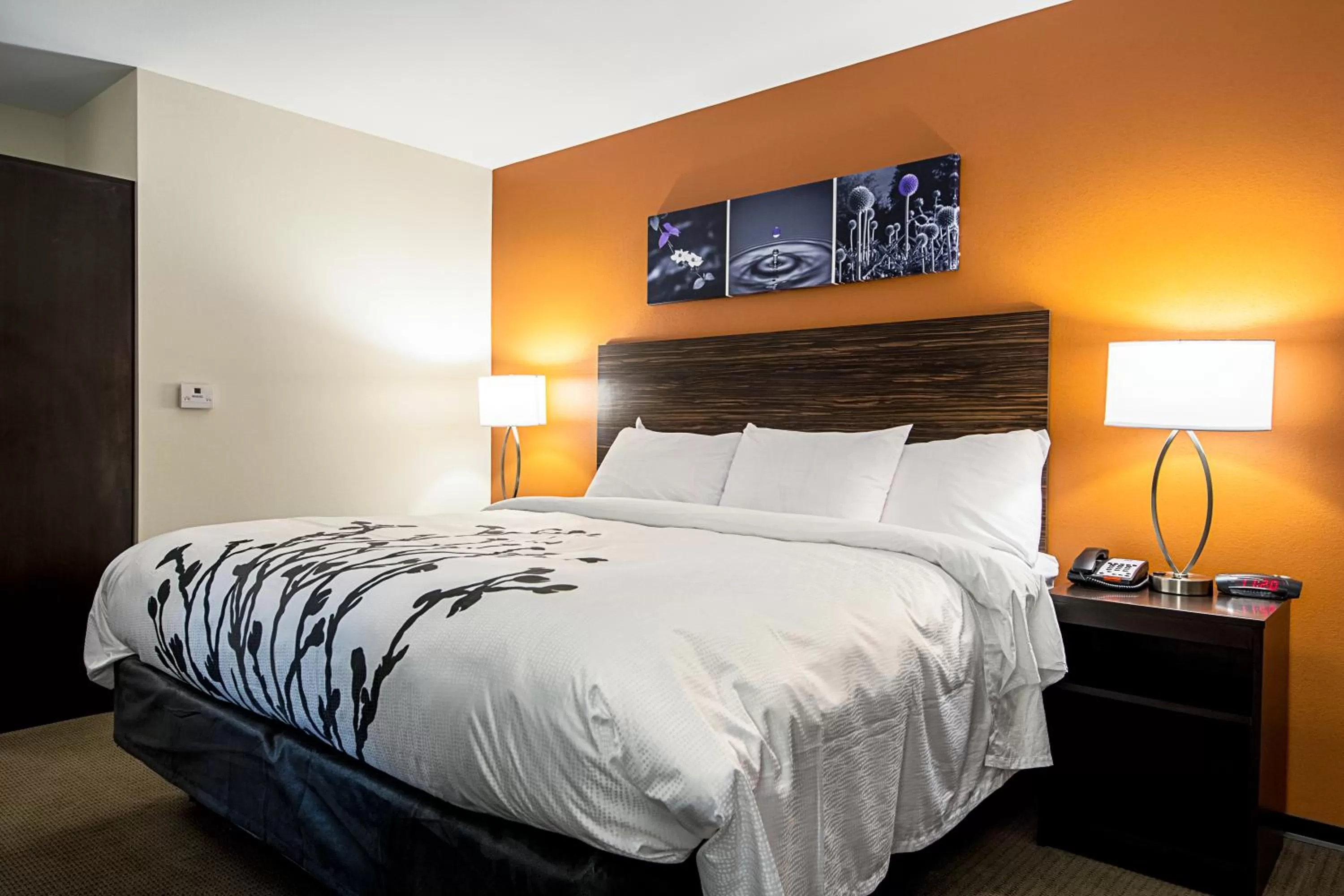 King Room - Non-Smoking in Sleep Inn Geismar - Gonzales