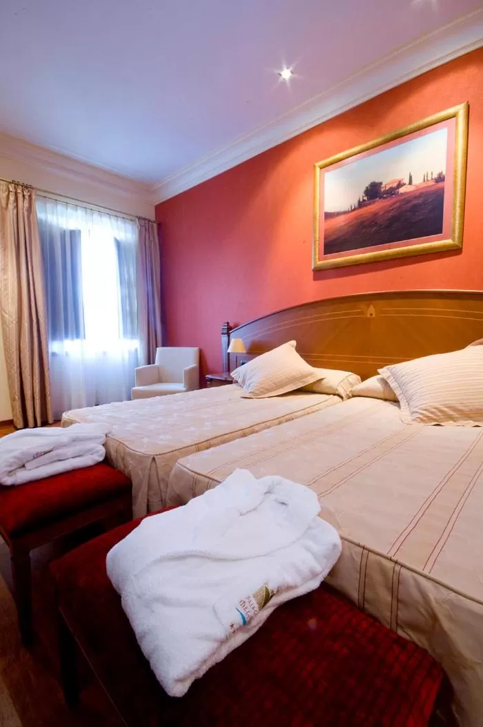 Superior Double or Twin Room in Hotel Palacio de la Magdalena