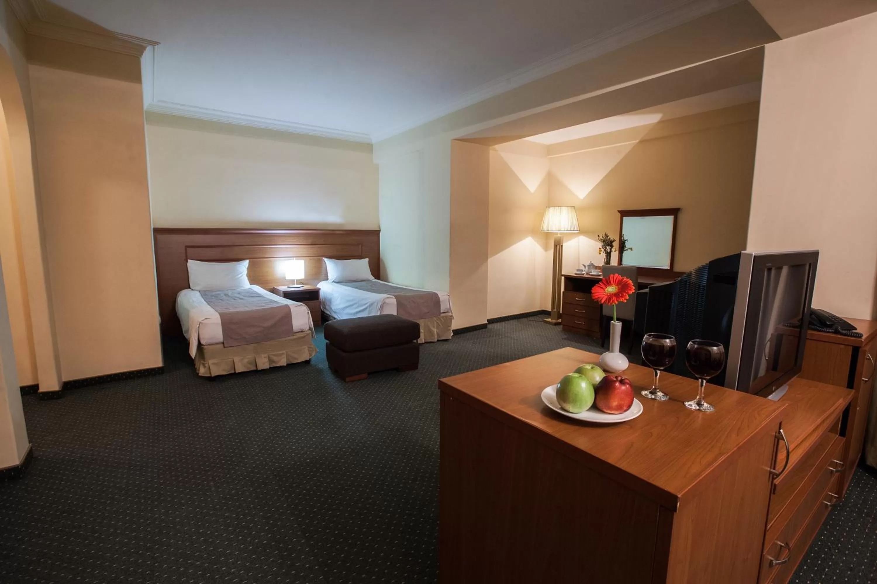 Standard Double or Twin Room in Aviatrans Hotel