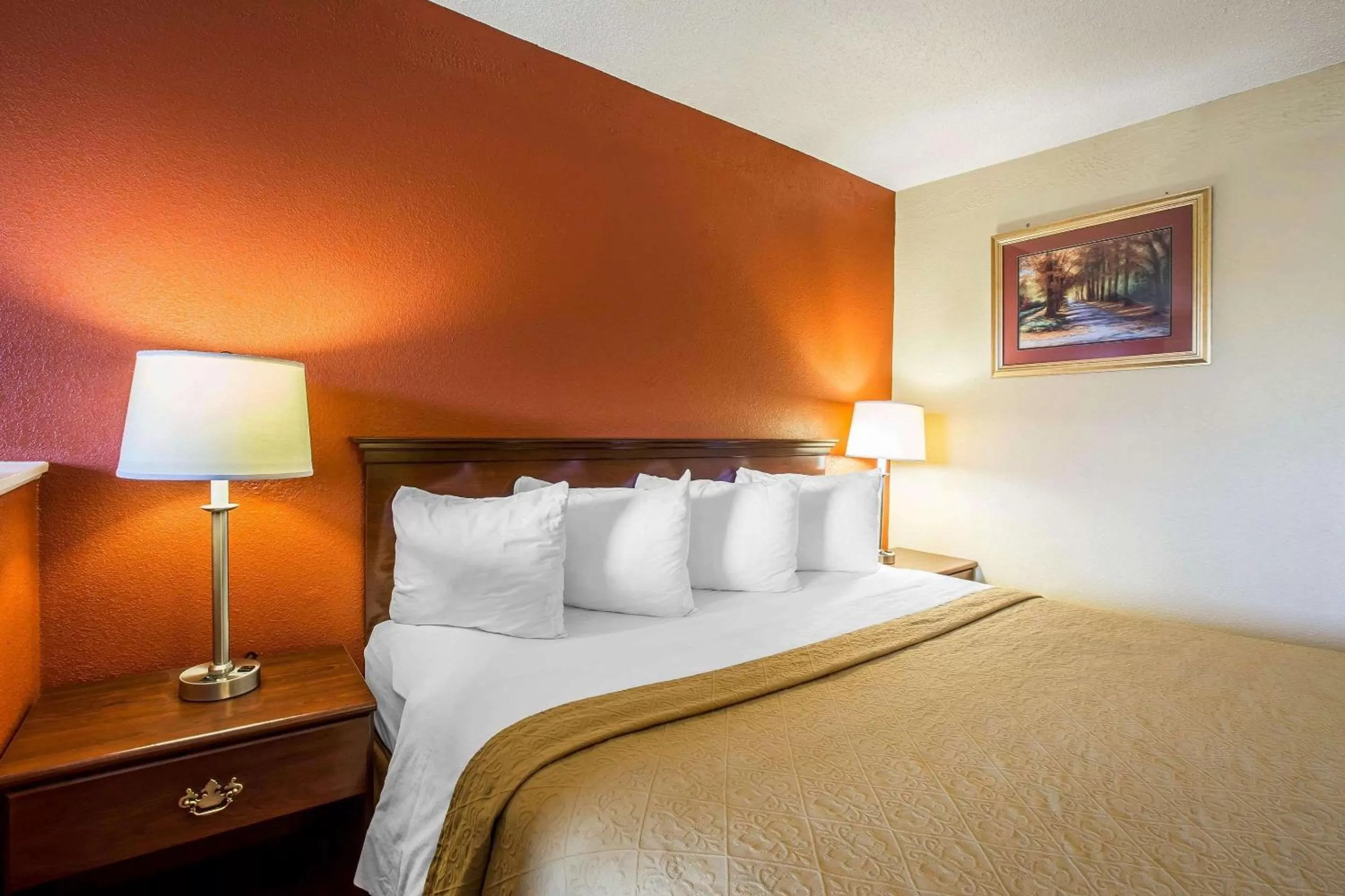 King Room - Accessible/Non-Smoking in Quality Inn Gaffney I-85