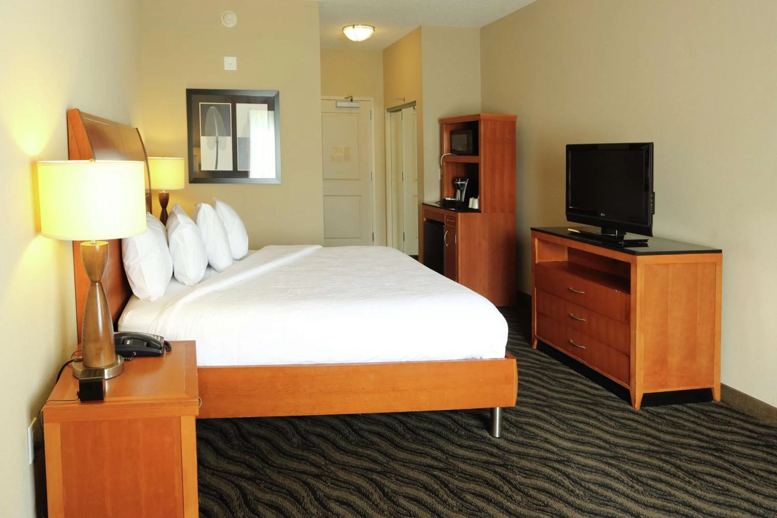 King Room in Hilton Garden Inn Chesapeake/Suffolk