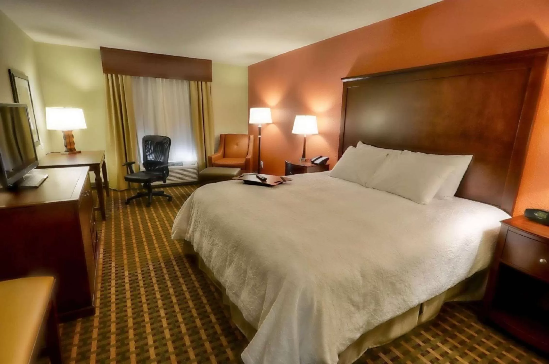 King Studio Suite with Sofa Bed - Non-Smoking in Hampton Inn & Suites Tifton