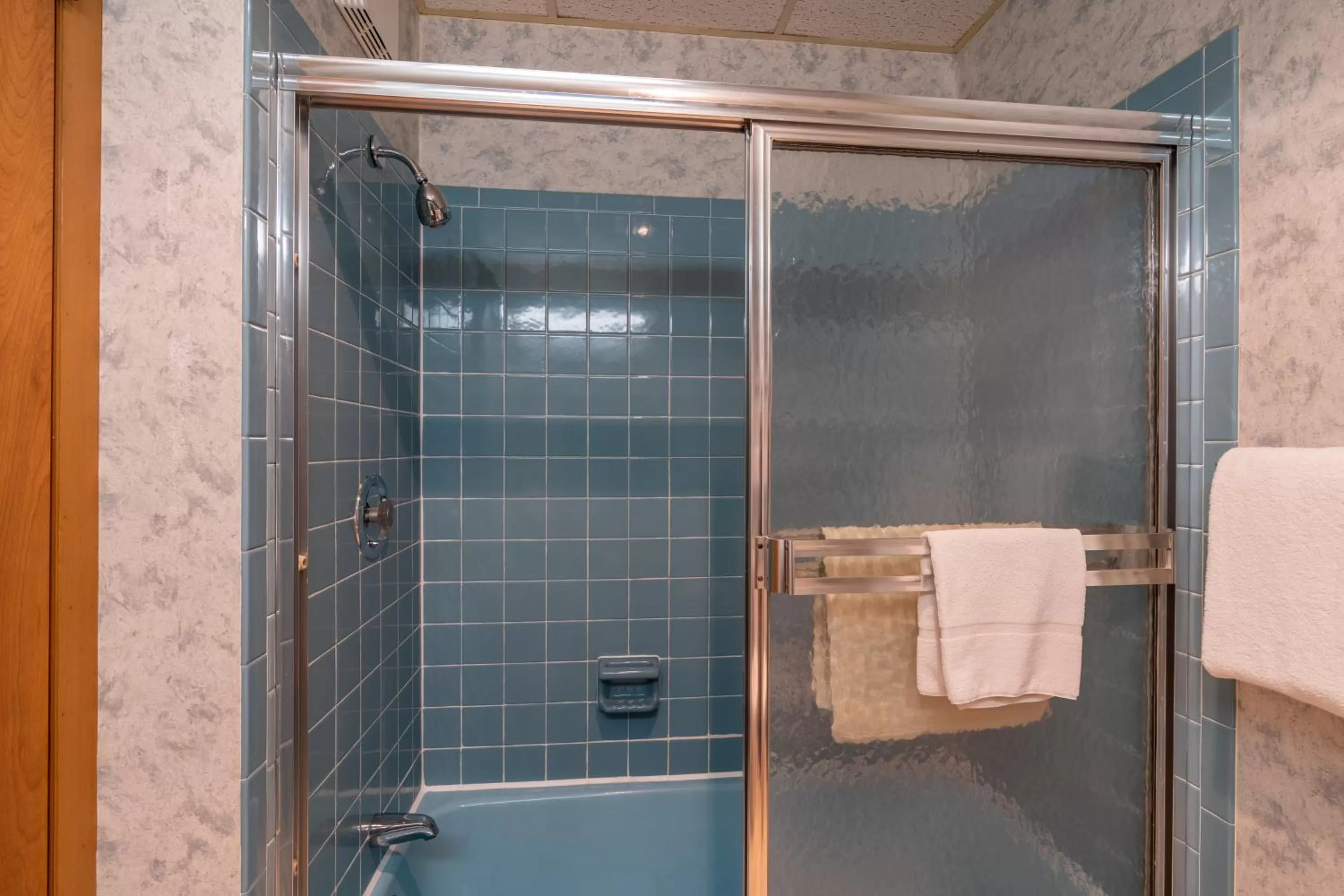 Double Room in Shaheen's Adirondack Inn