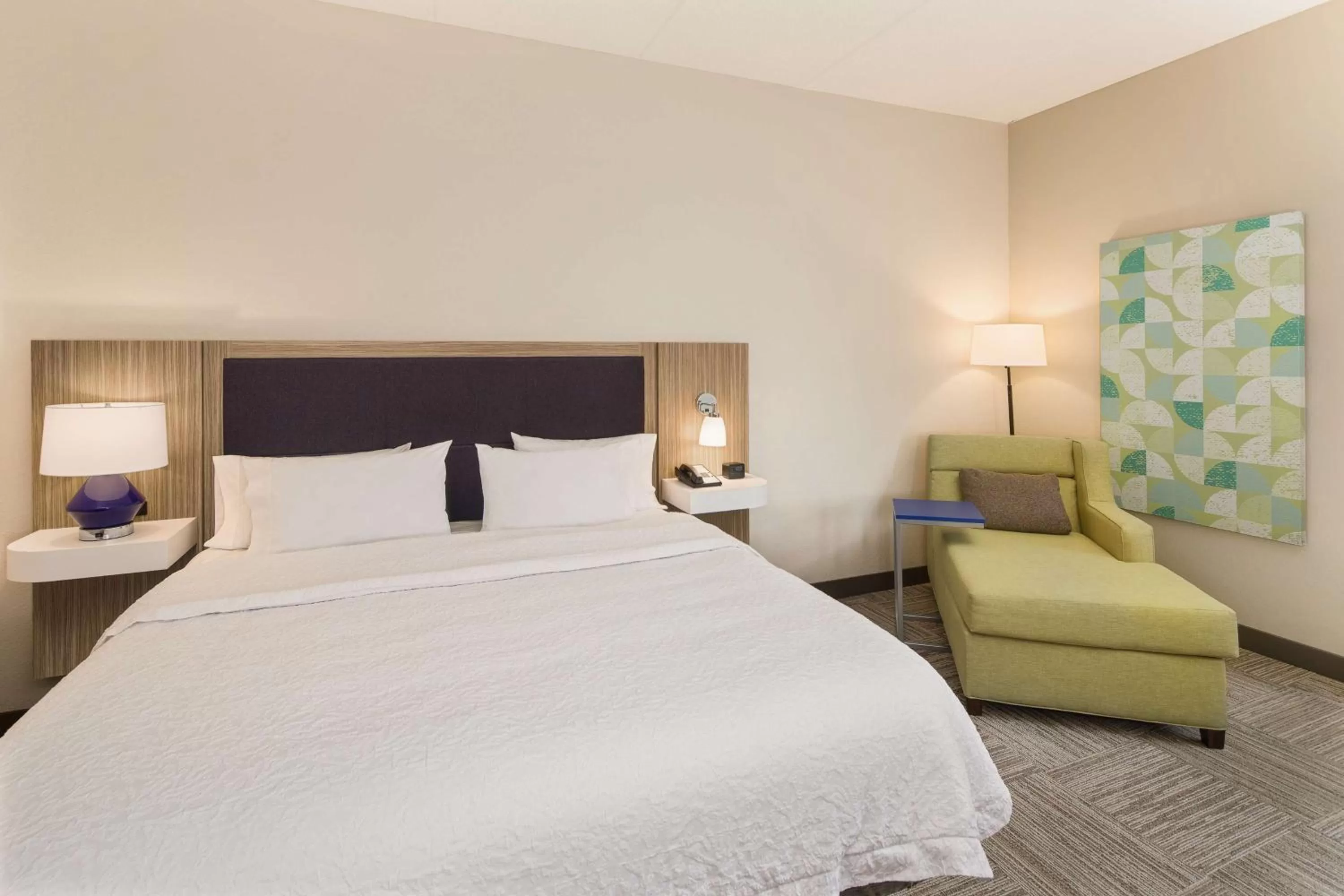 King Room with Shower - Non-Smoking in Hampton Inn Lagrange near Callaway Gardens