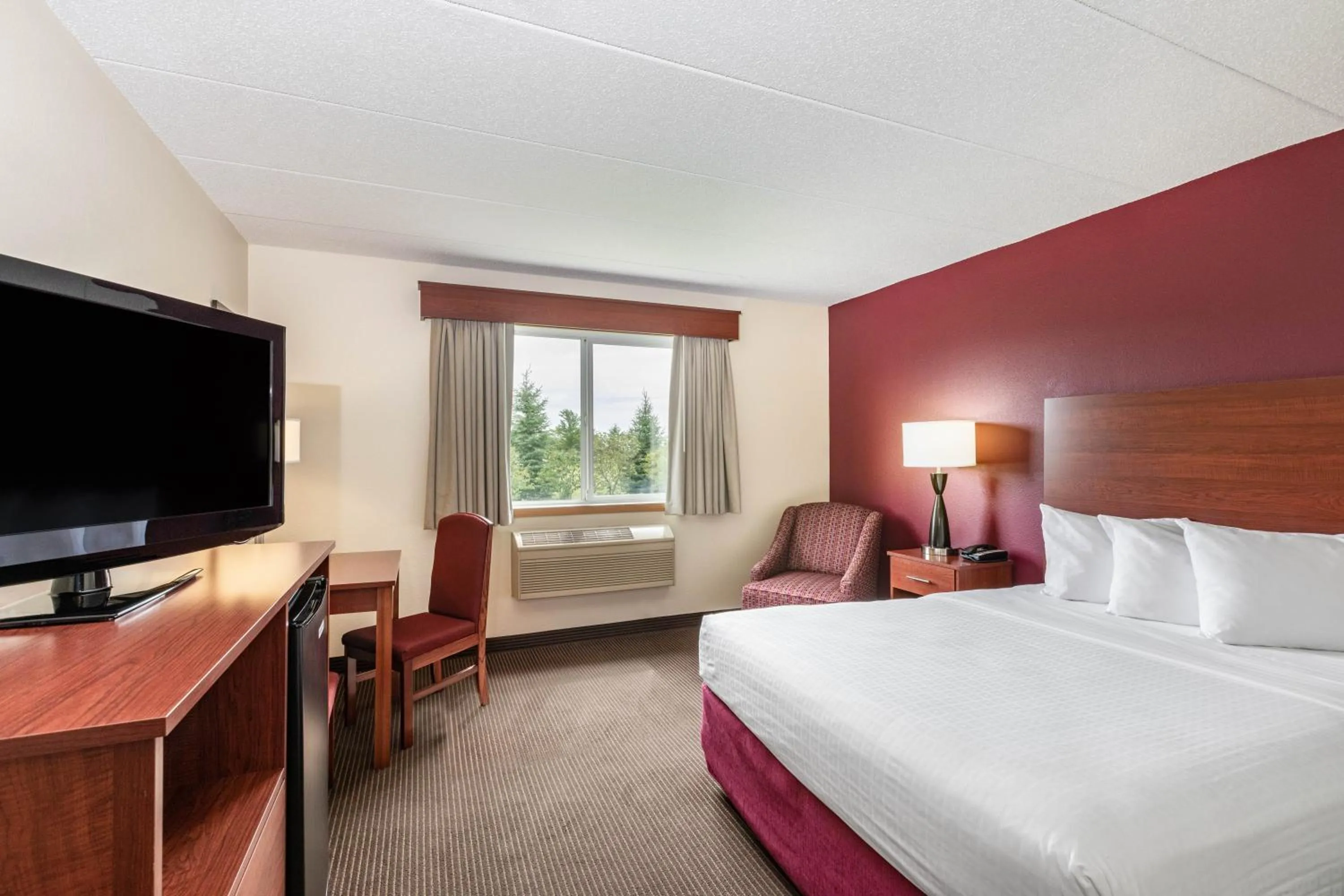Queen Room - Mobility Access in SureStay Plus Hotel by Best Western Litchfield