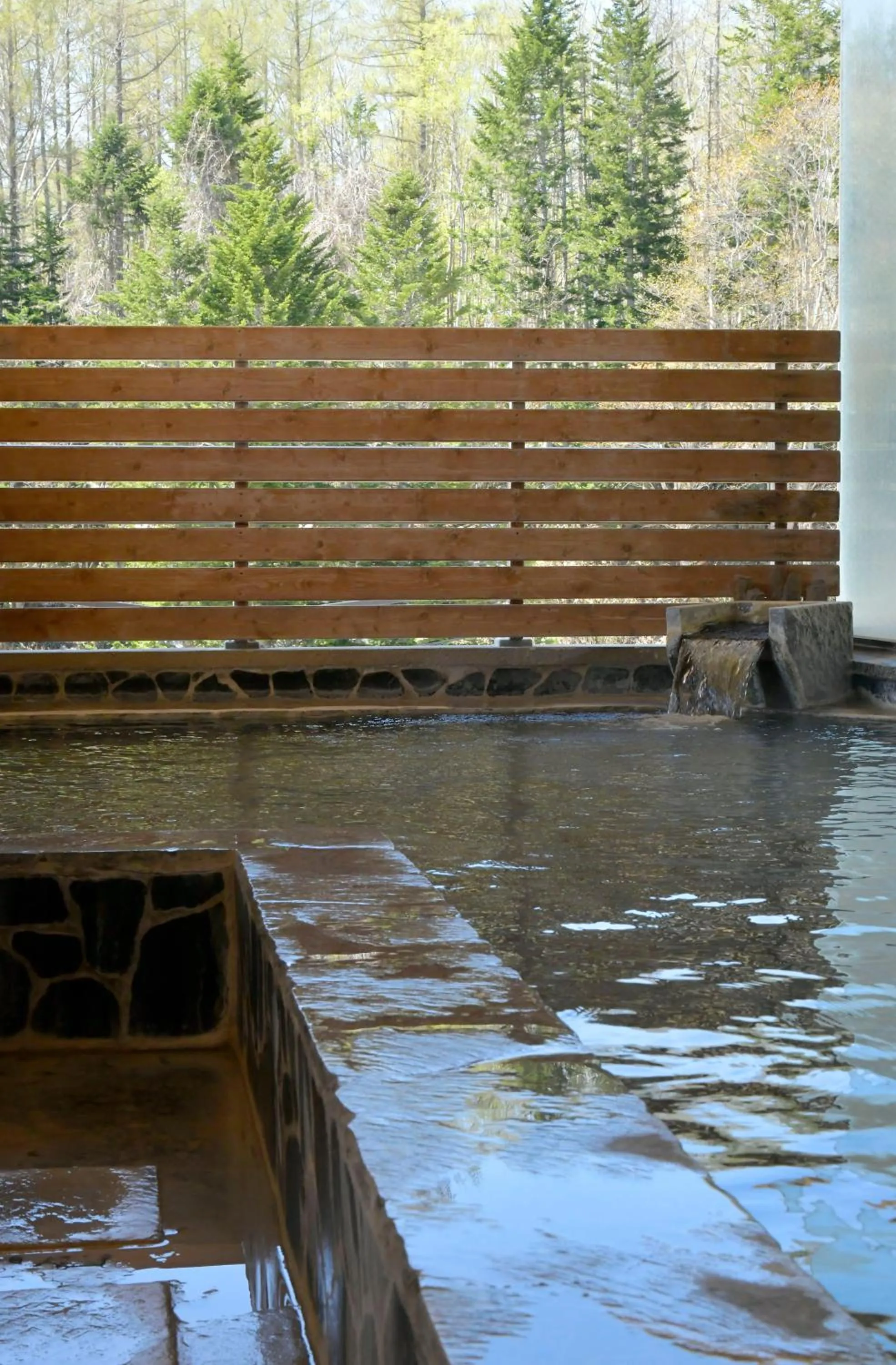 Deluxe Room with Tatami area - Non-Smoking in Niseko Prince Hotel Hirafutei