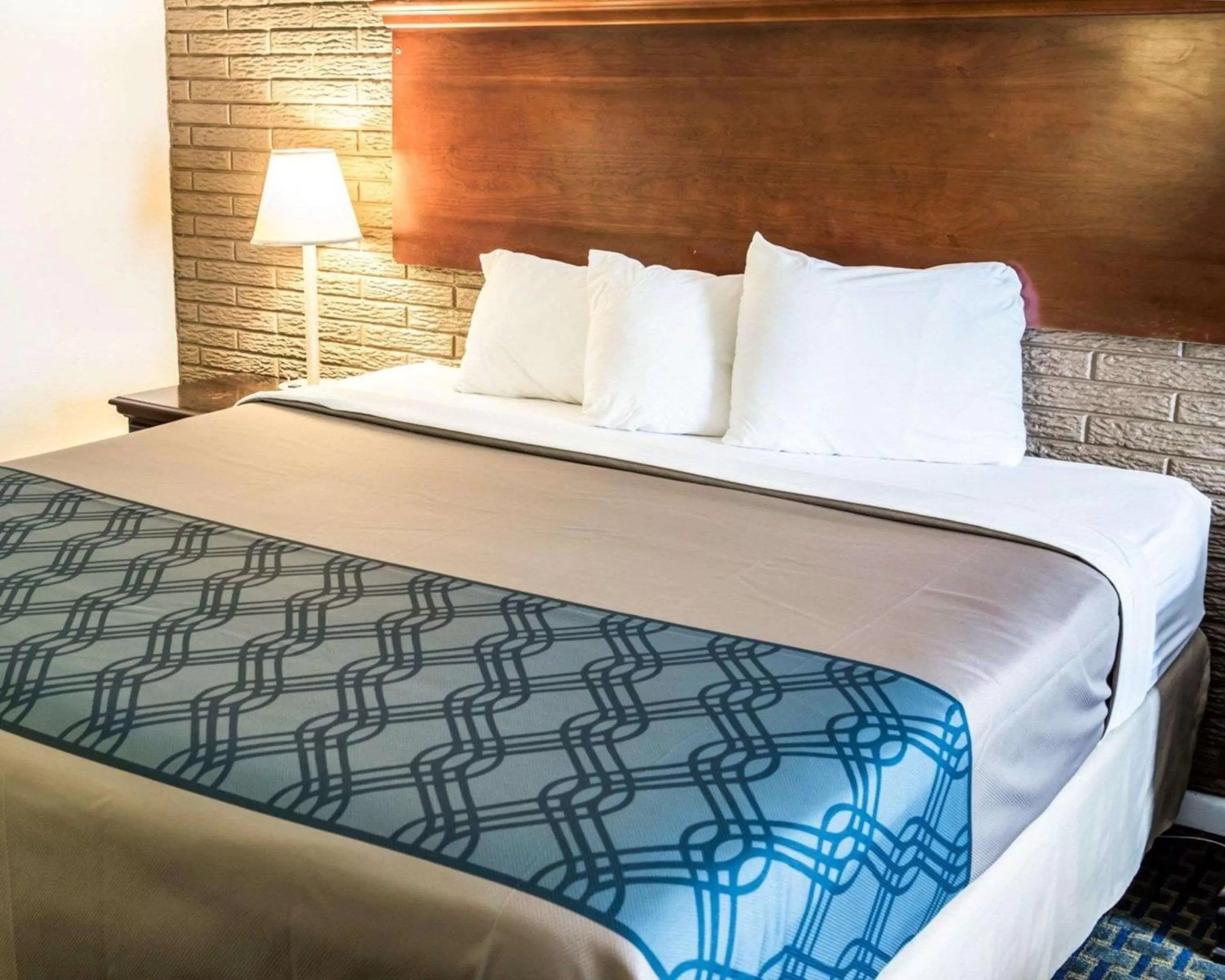 Standard King Room - Non-Smoking  in Rodeway Inn & Suites Wilmington North