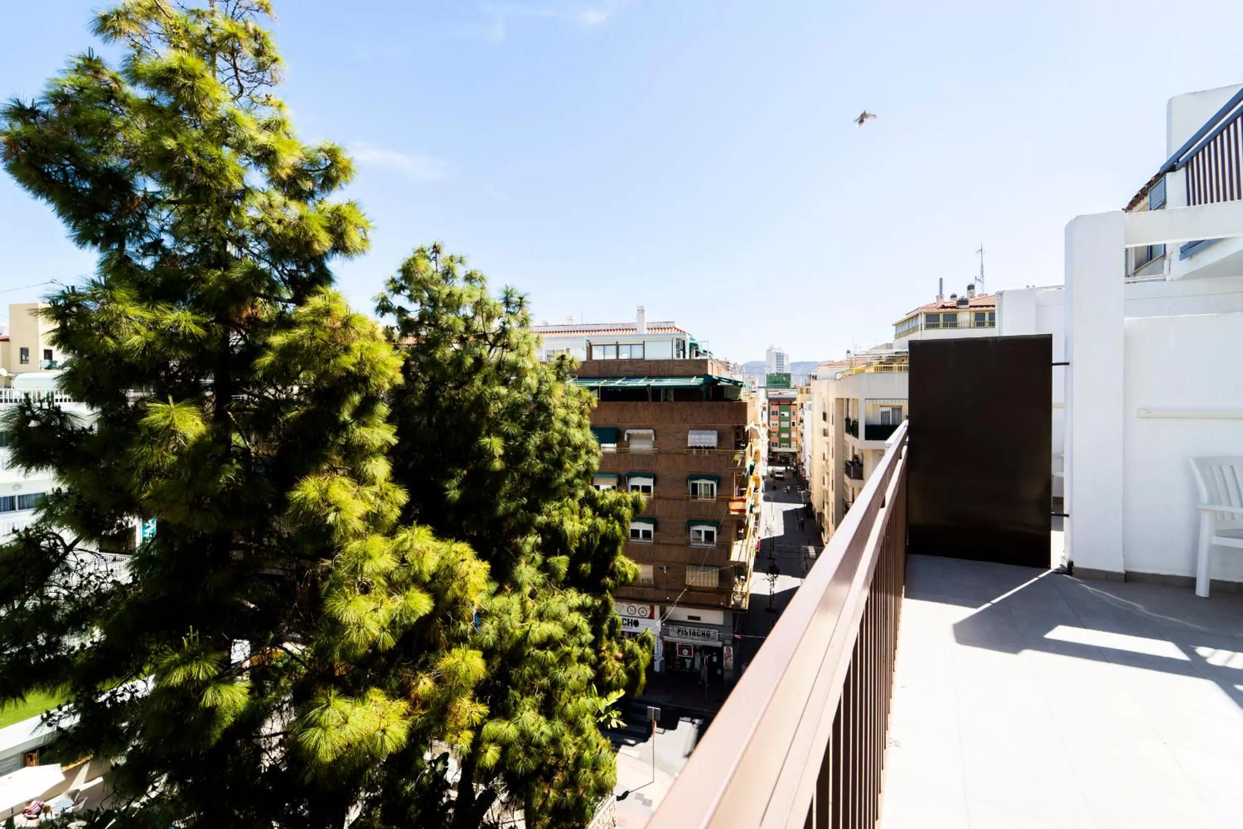 Triple Room with Terrace in Hotel Montesol Benidorm