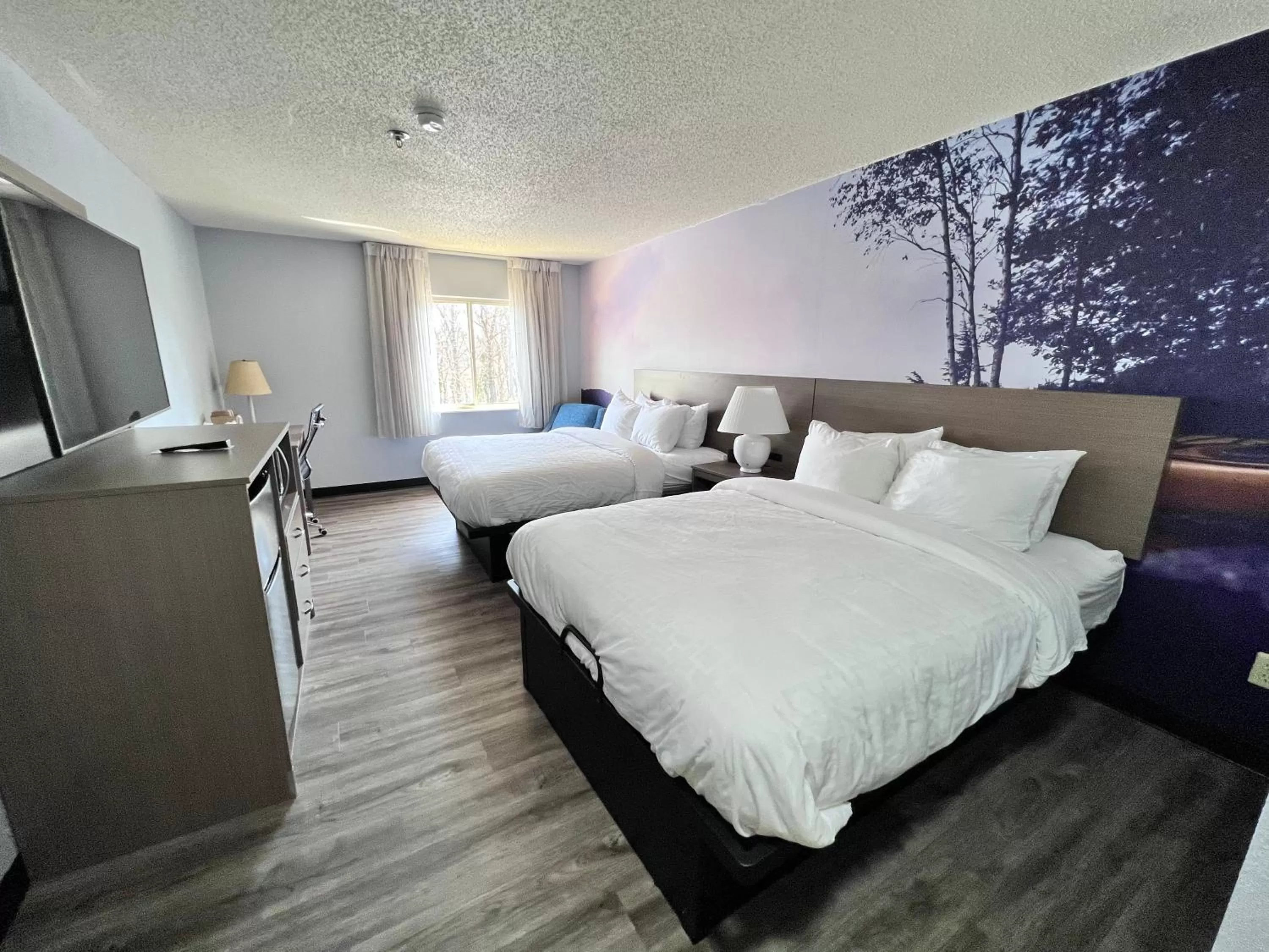 Standard Queen Room with Two Queen Beds - Non Smoking  in Clarion Pointe on the lake Clarksville-South Hill West