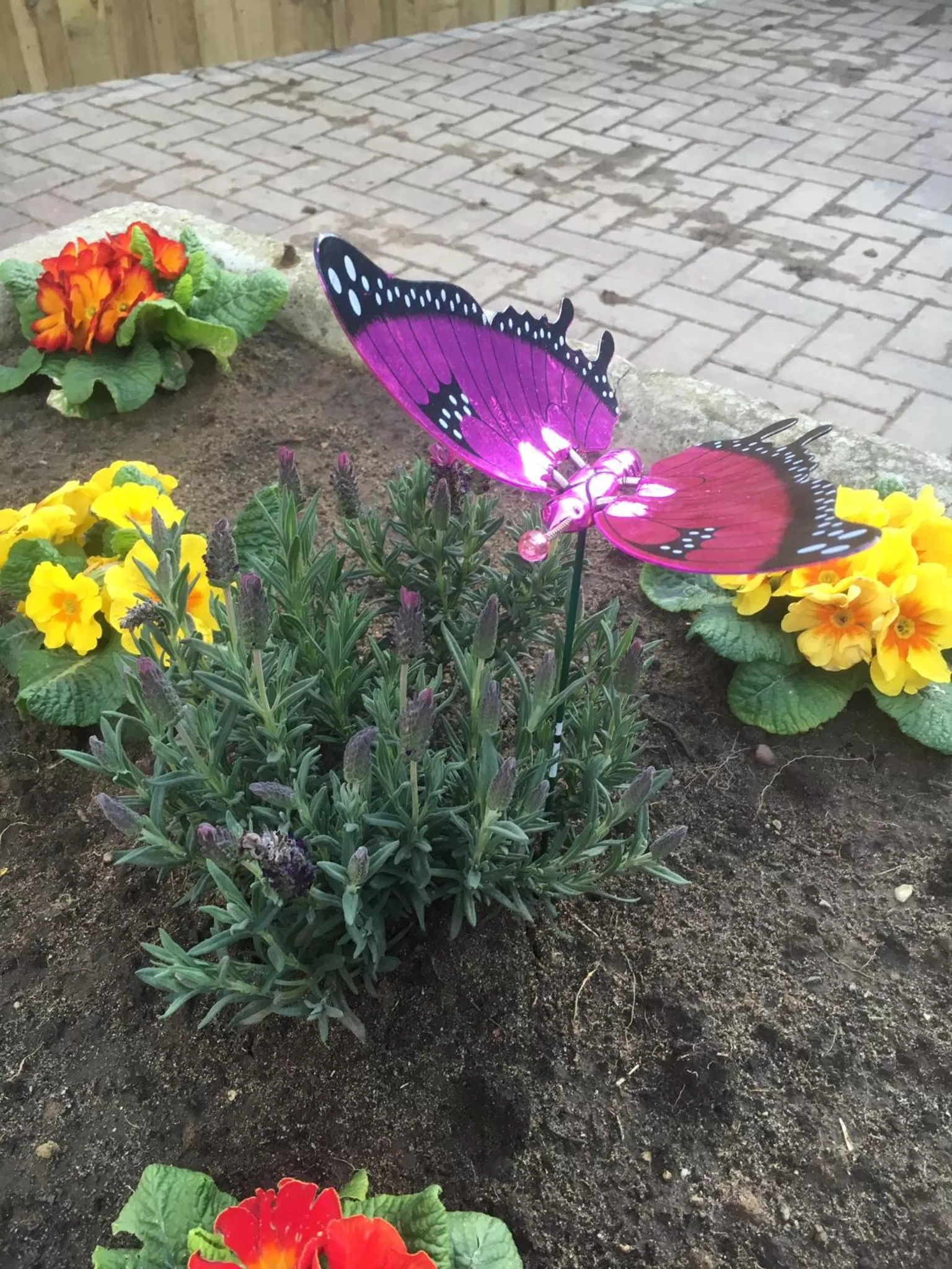 Three-Bedroom Cottage in Newsham Grange Farm