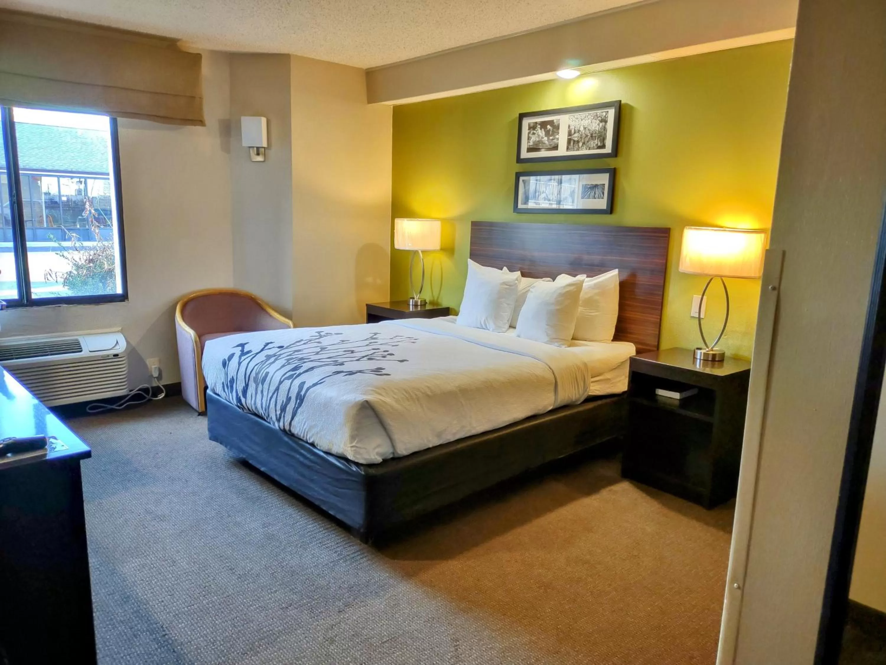 Queen Room - Accessible/Non-Smoking in Sleep Inn Fredericksburg North