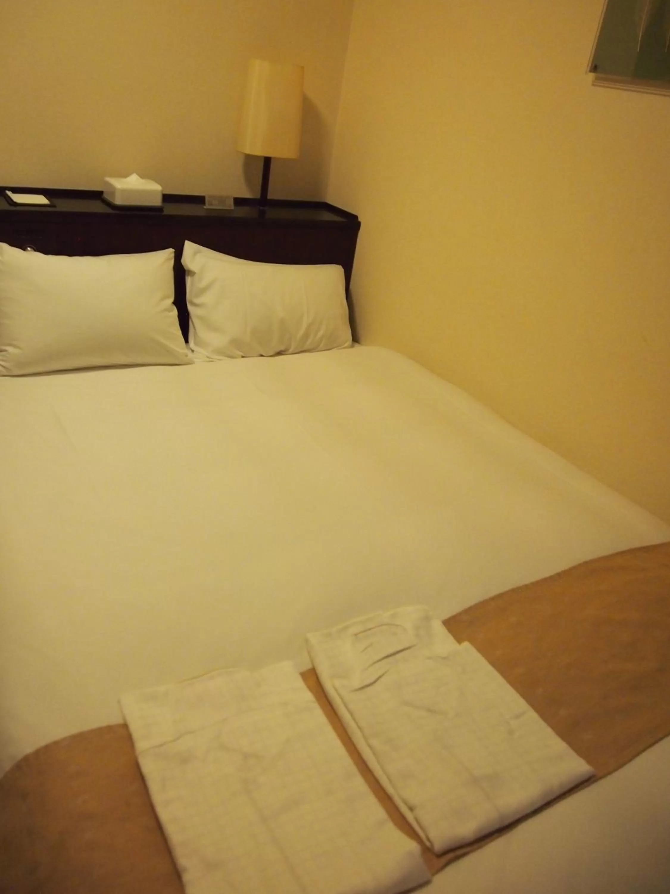 Double Room - Non-Smoking  in Nest Hotel Kumamoto